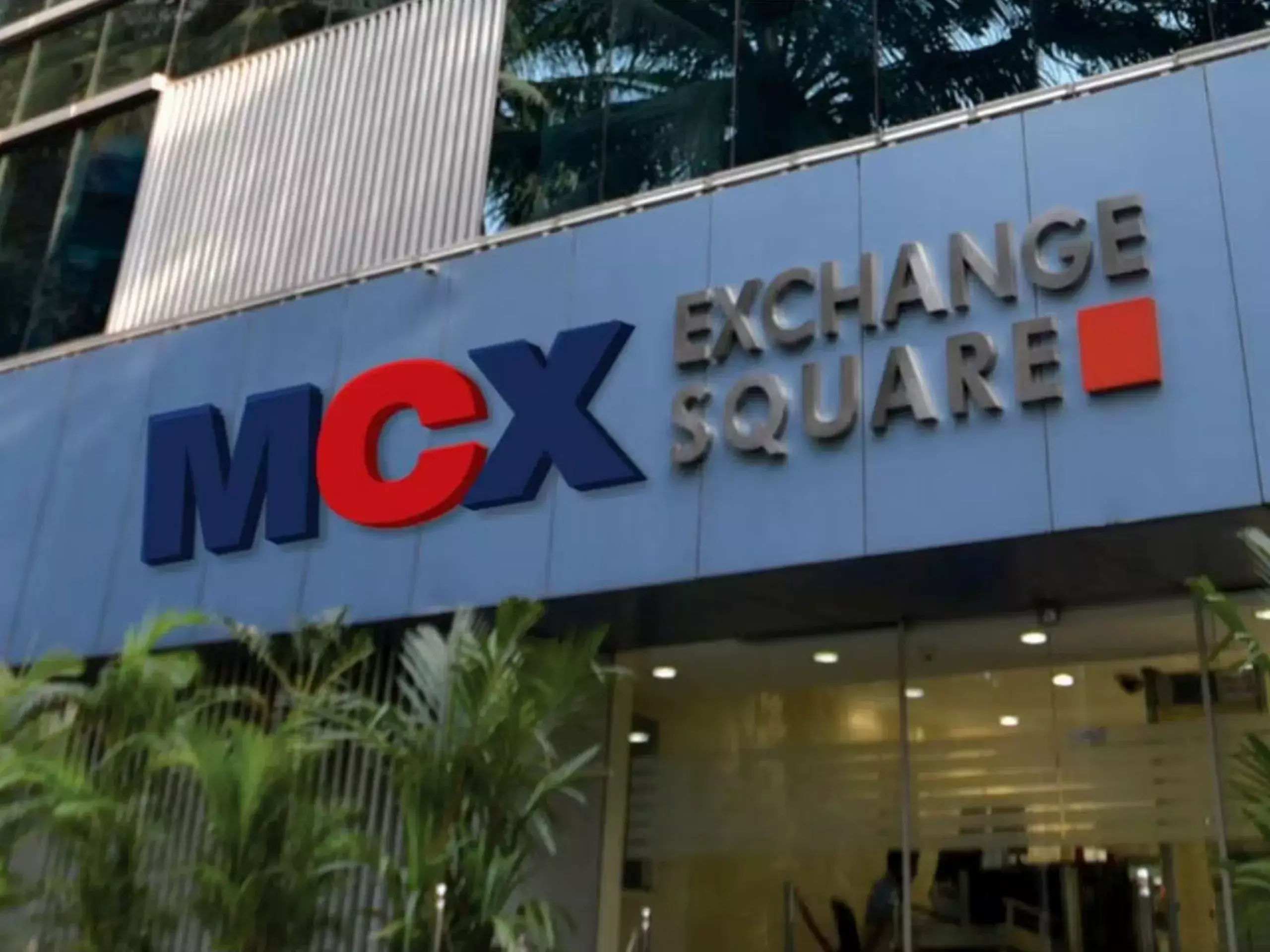 mcx shares down 8%