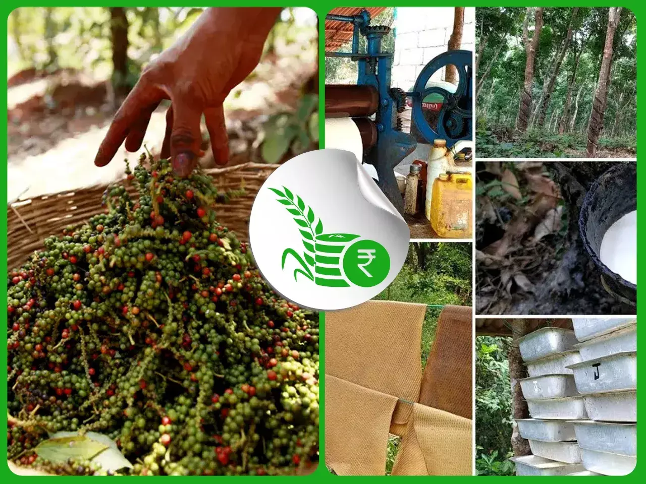 commodities market rate 12 02 24