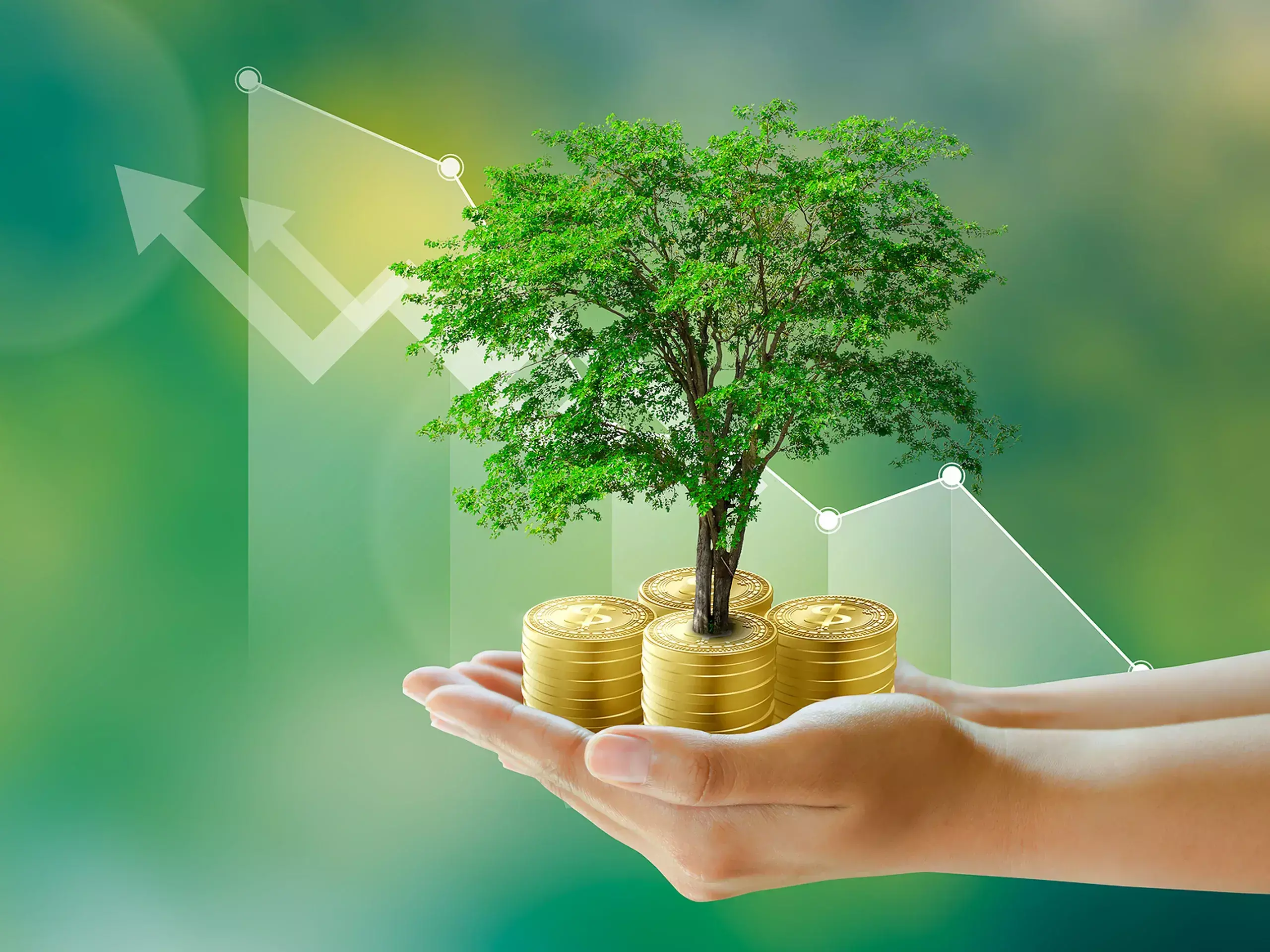 just a small cap, earning 36 percent return just a small cap, earning 36 percent return