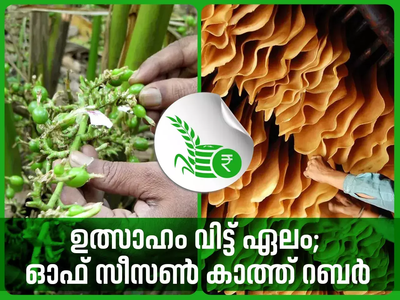 commodities market rate 13 02 24