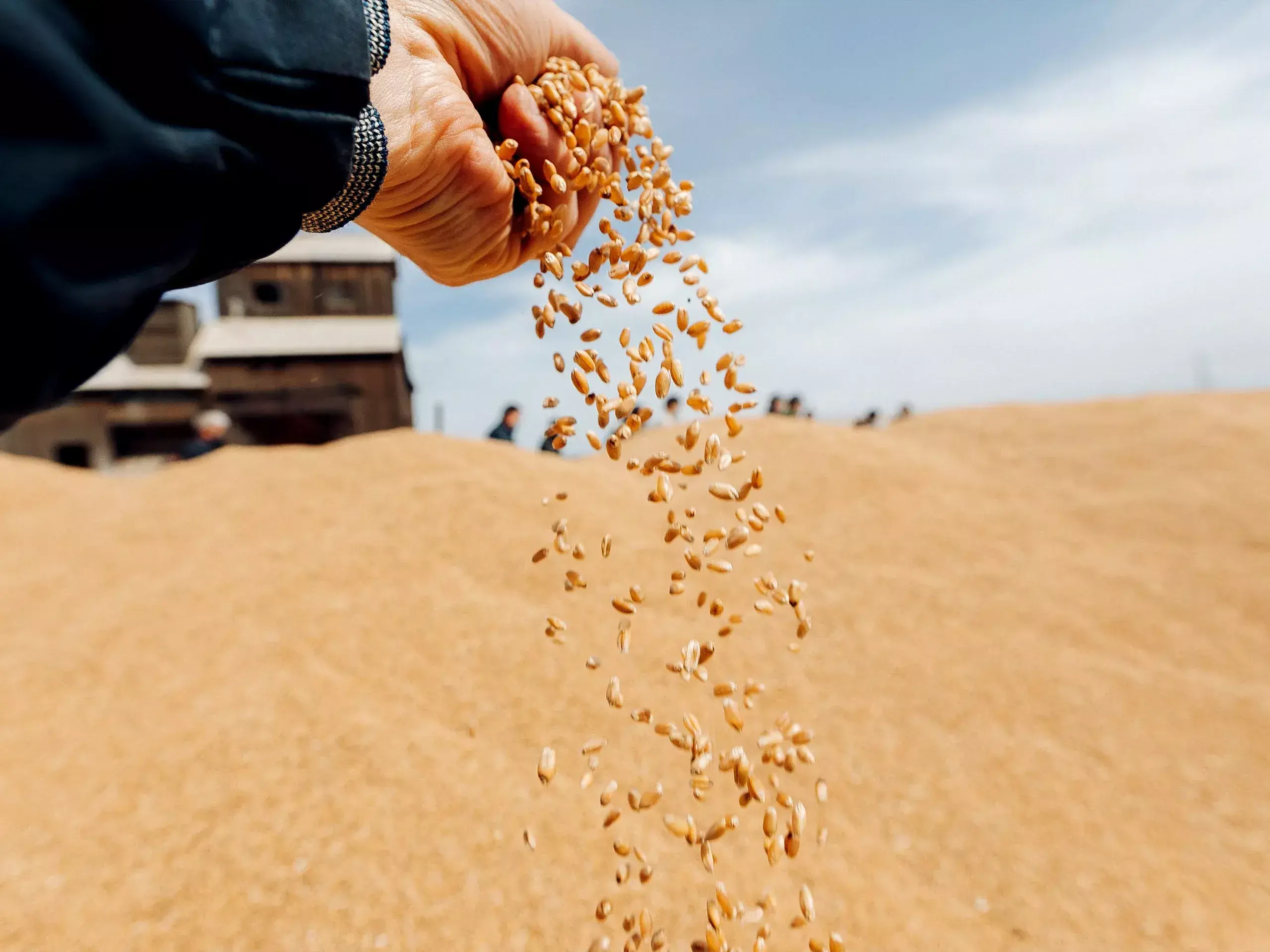 fci authorized capital has been raised to rs 21,000 crore