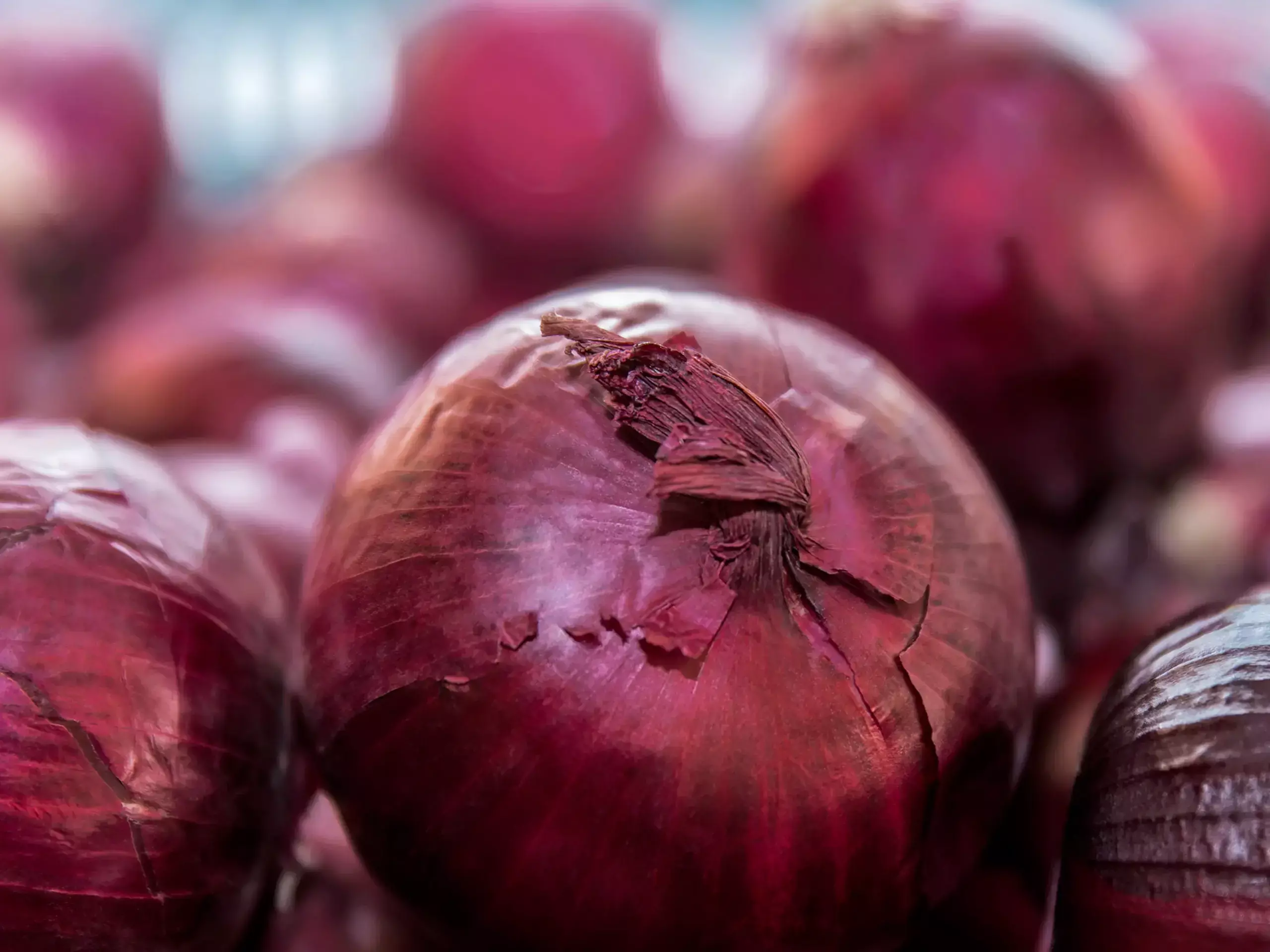 No change in onion prices, no change in export ban
