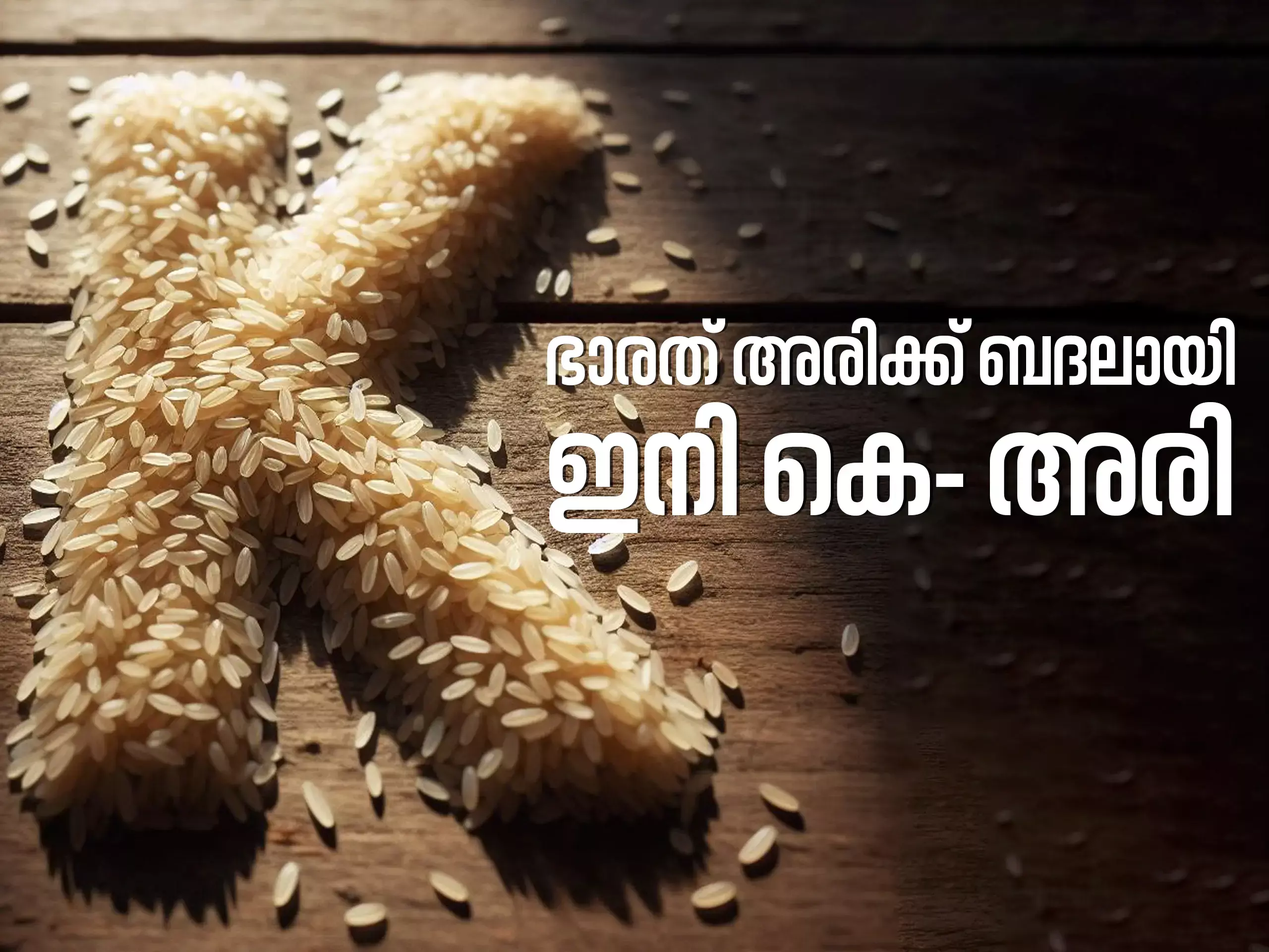 കേന്ദ്രസര്‍ക്കാരിനെ നേരിടാന്‍ കെ-ബ്രാന്‍ഡുമായി സംസ്ഥാനസര്‍ക്കാര്‍