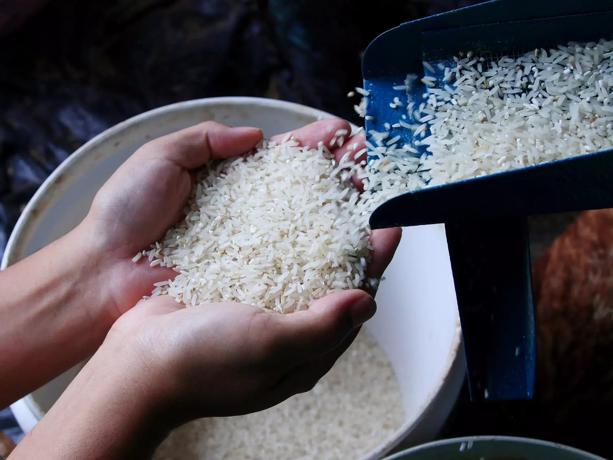 sharp decline in rice production