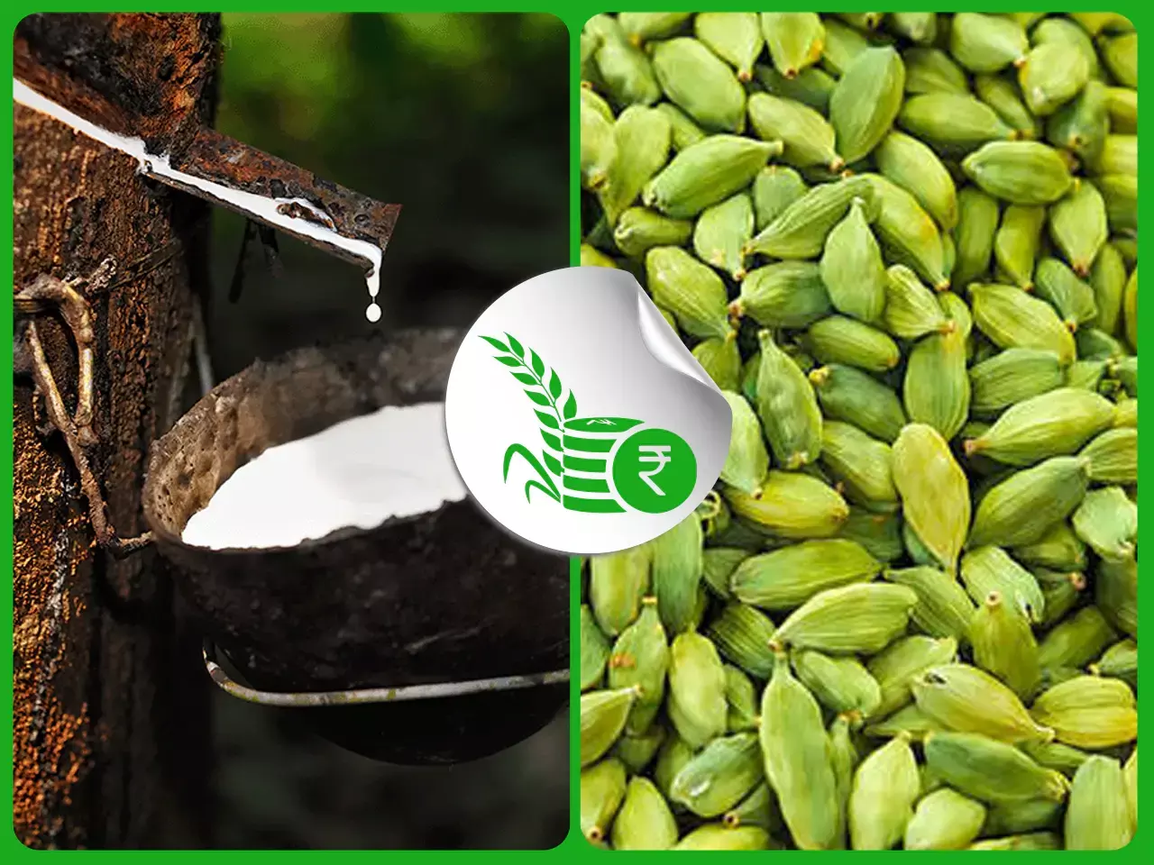 ഉയരാതെ റബര്‍ വില; ഏലക്കയ്ക്ക് ഡിമാന്‍ഡ്