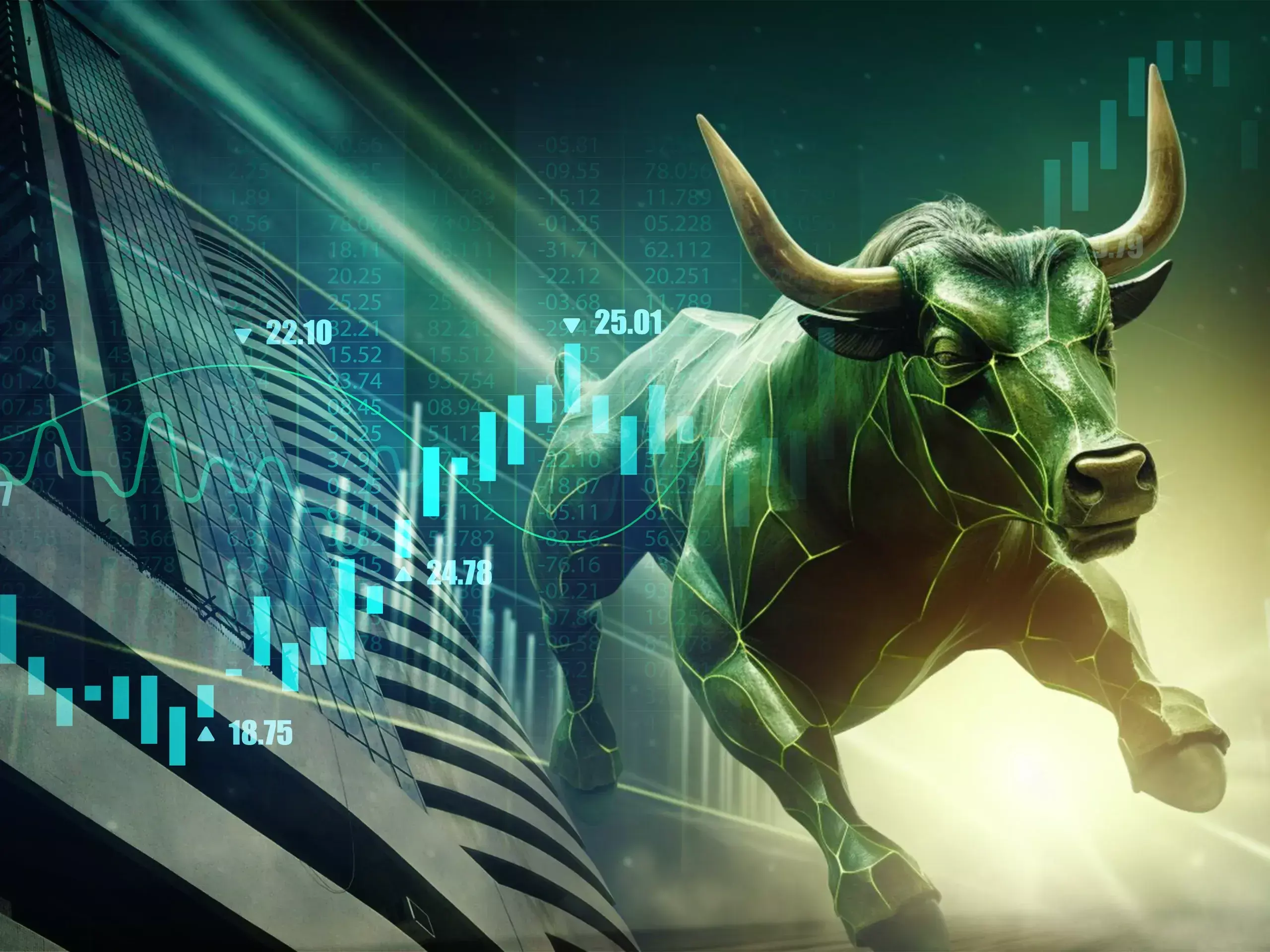 bulls re-entry into the stock market bulls re-entry into the stock market