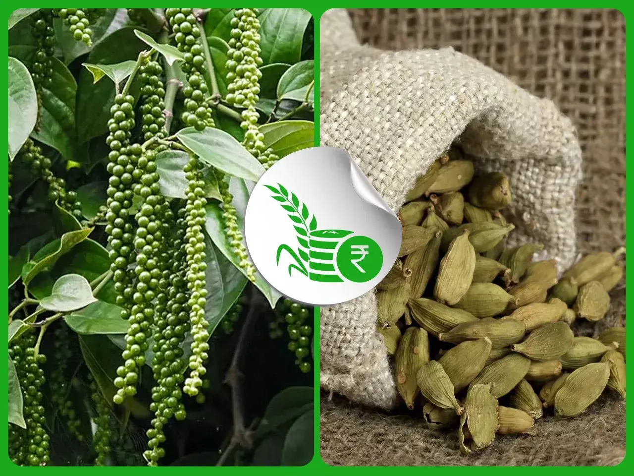 commodities market rate 12 03 24