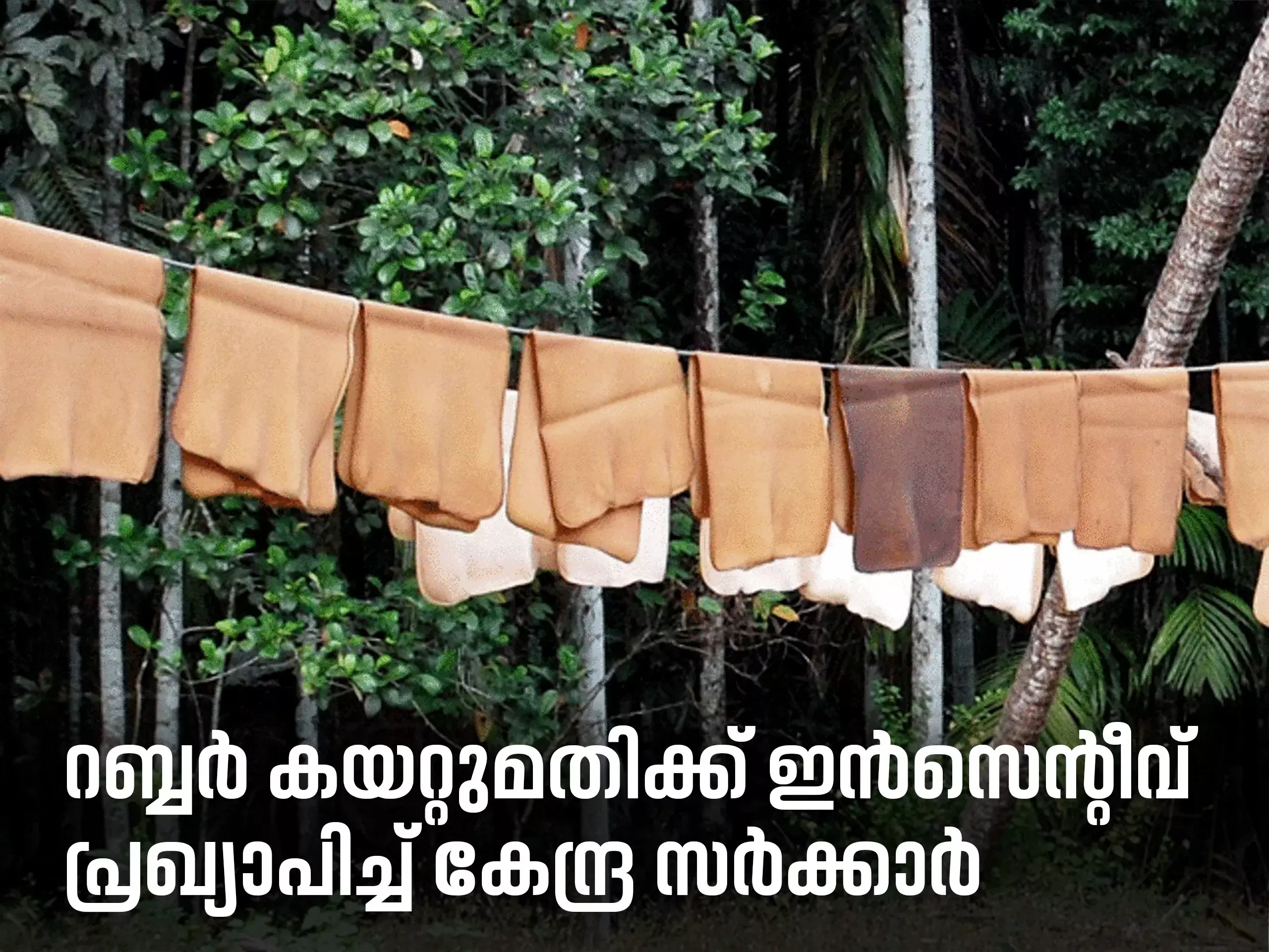 central government has announced incentives for rubber exports