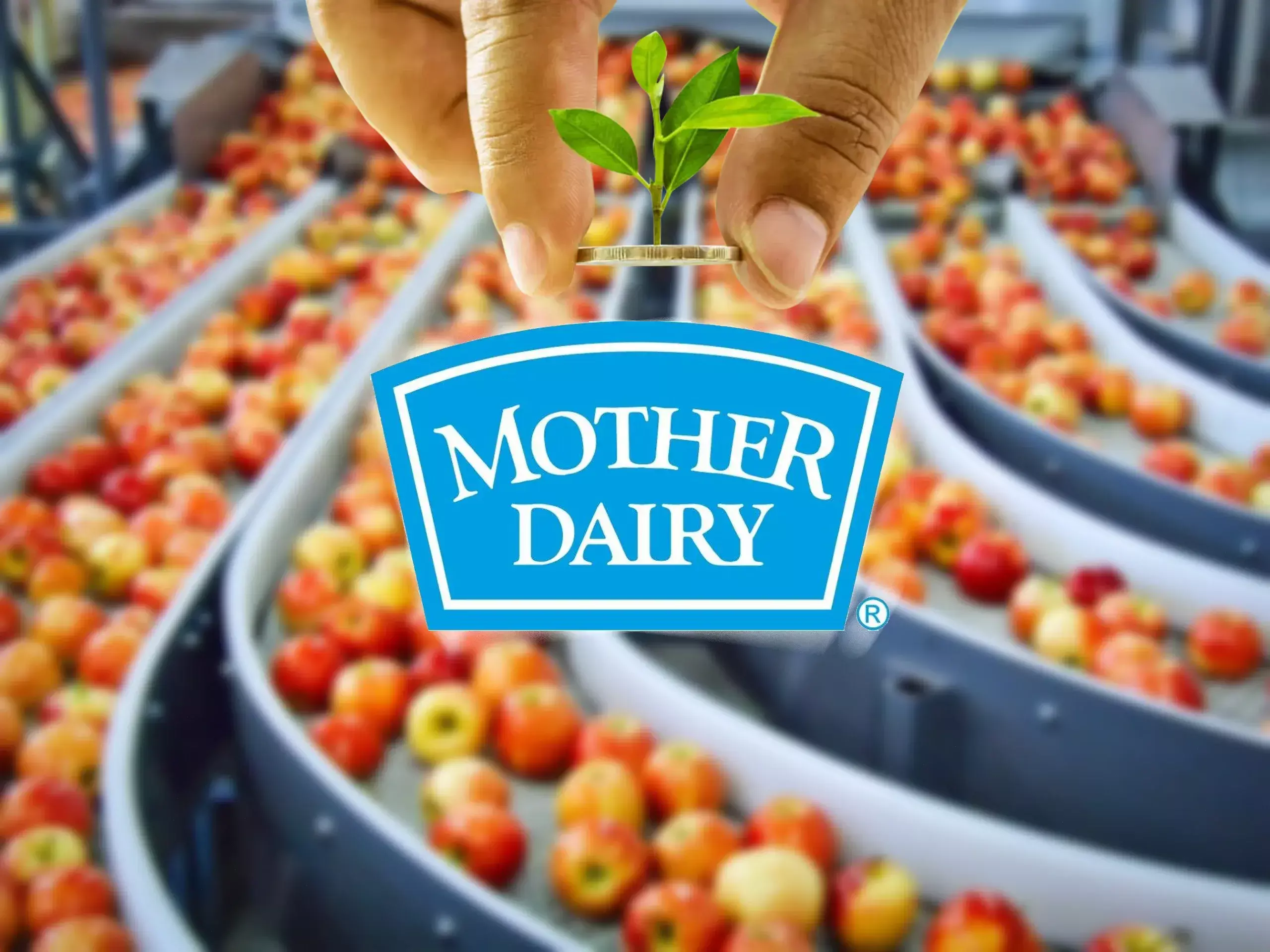 750 crore investment by mother dairy in fruit and vegetable processing plants