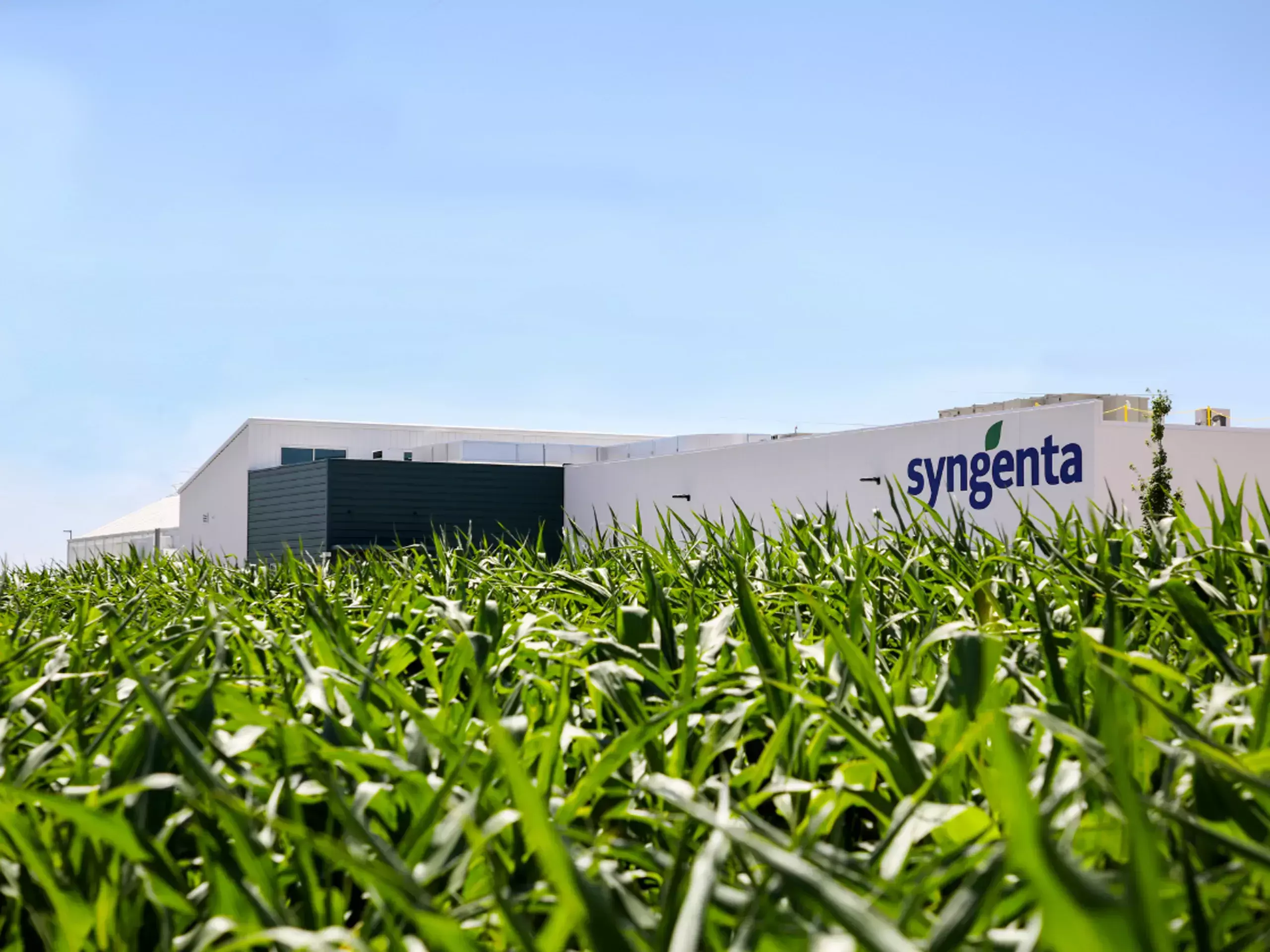 syngenta set up seed testing lab in hyderabad