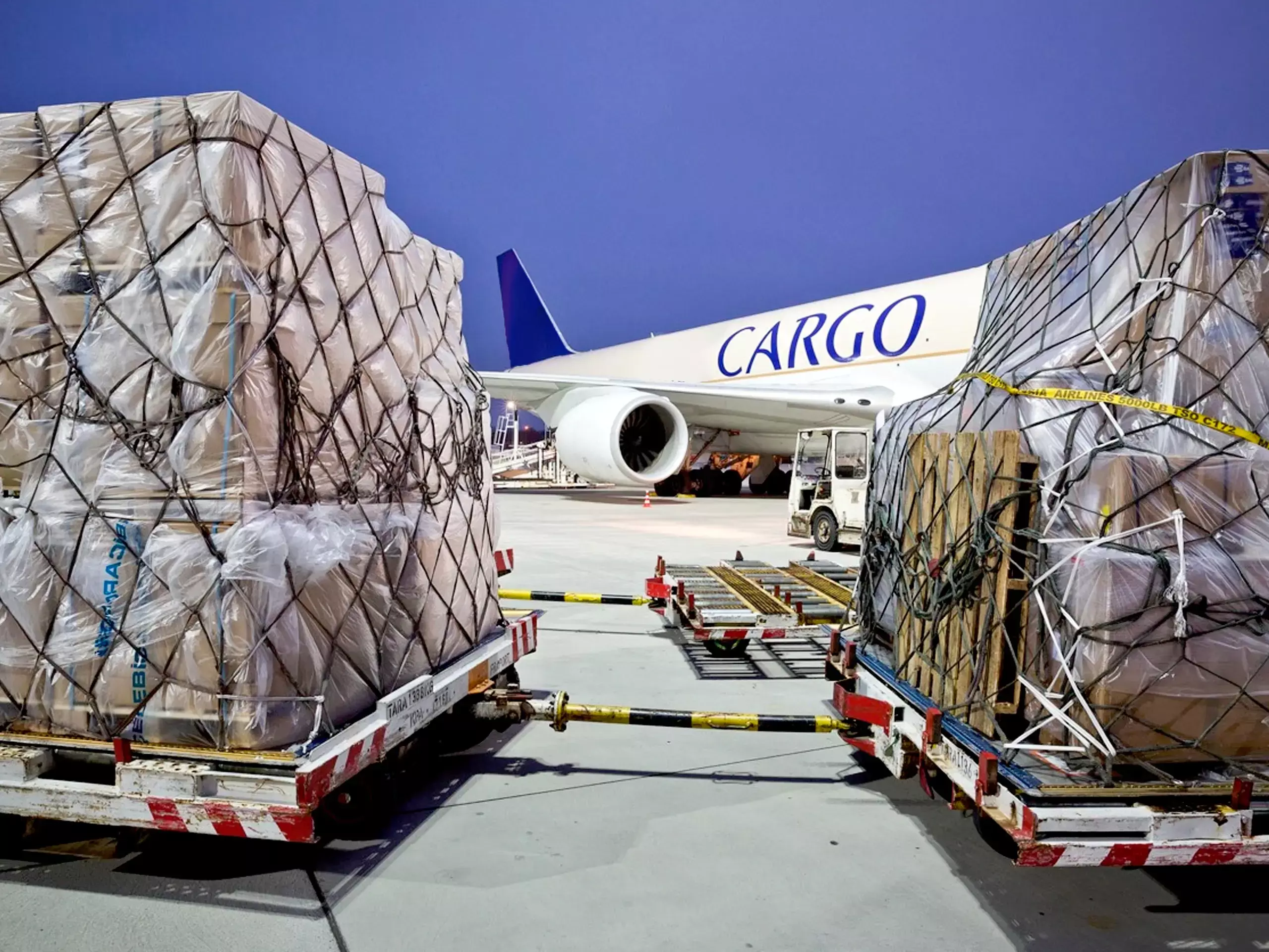 സിവില്‍ ഏവിയേഷന്‍ വളര്‍ച്ചക്കൊപ്പം വെല്ലിവിളിയായി കാര്‍ഗോ സുരക്ഷ