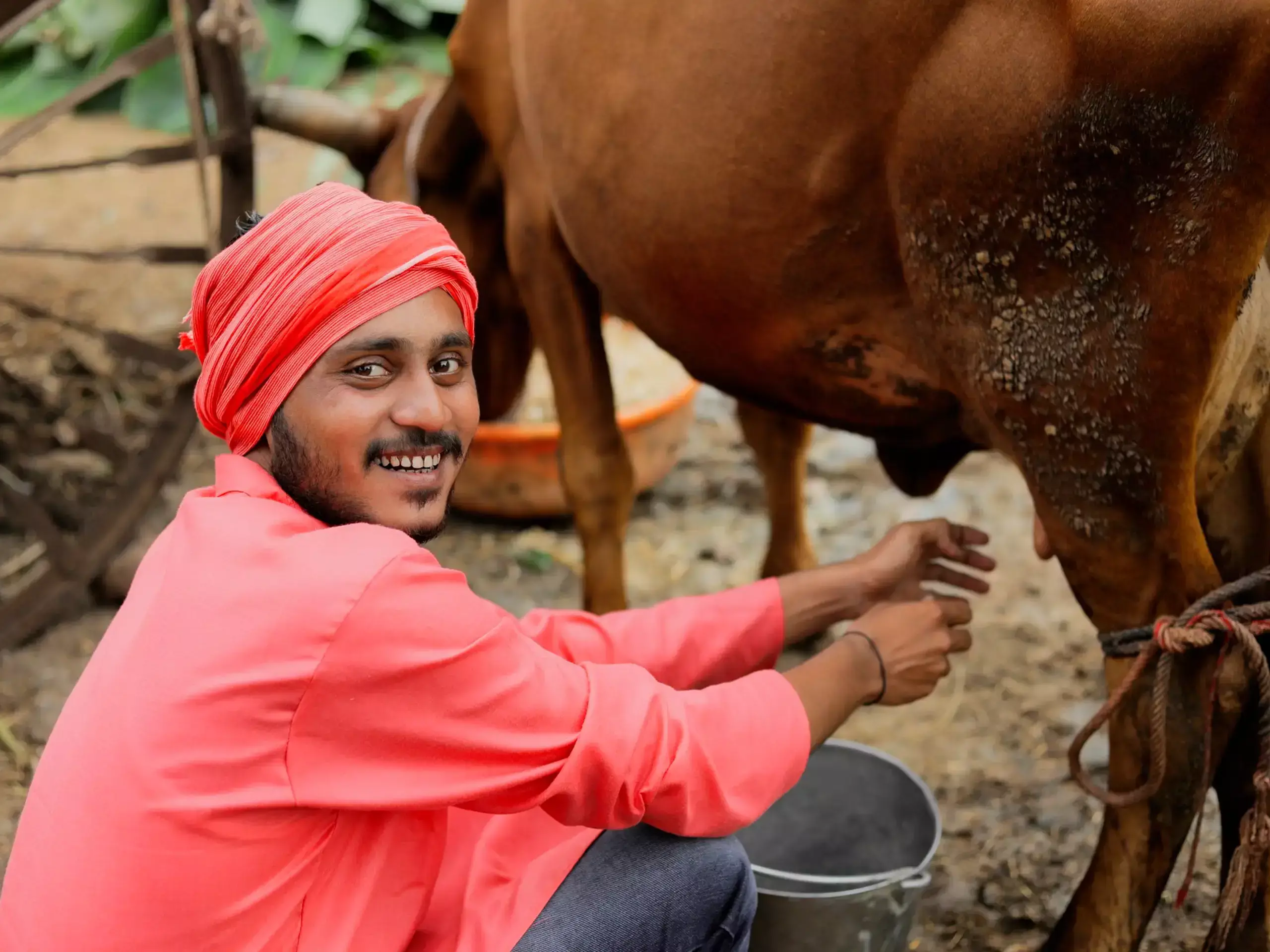 കൊടുംചൂടില്‍ കര്‍ഷക നഷ്ടം നികത്തുവാനുള്ള പദ്ധതിയുമായി മില്‍മ