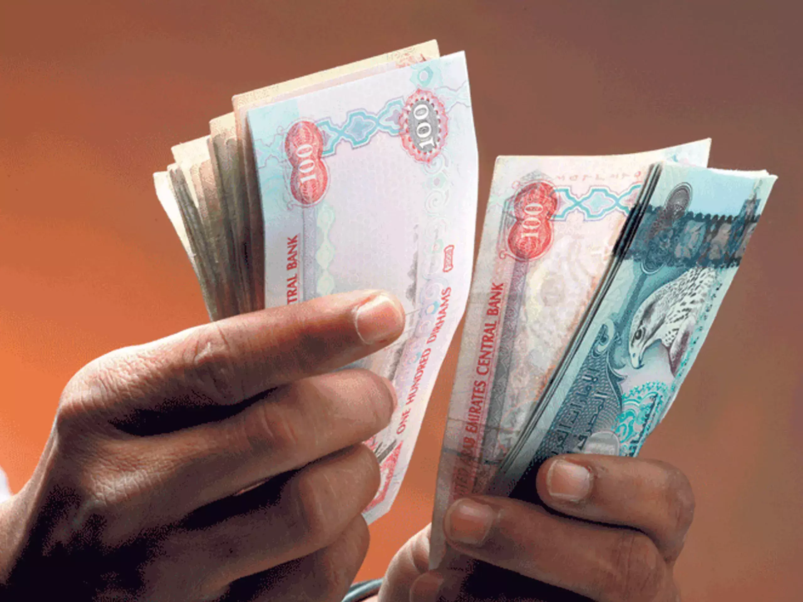 uae employees receive high monthly salaries