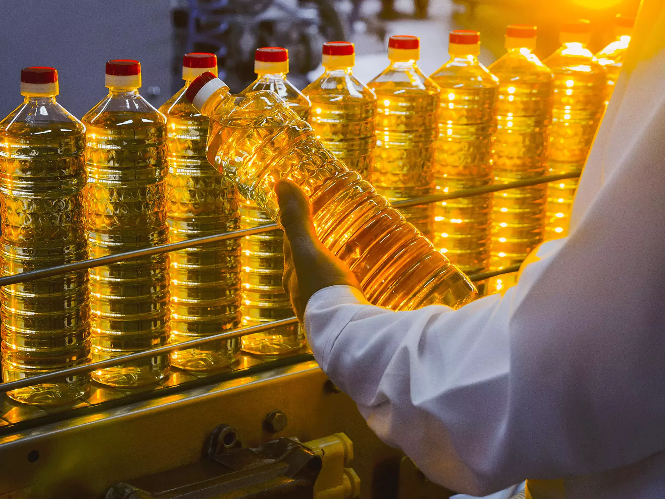 51% increase in sunflower oil imports