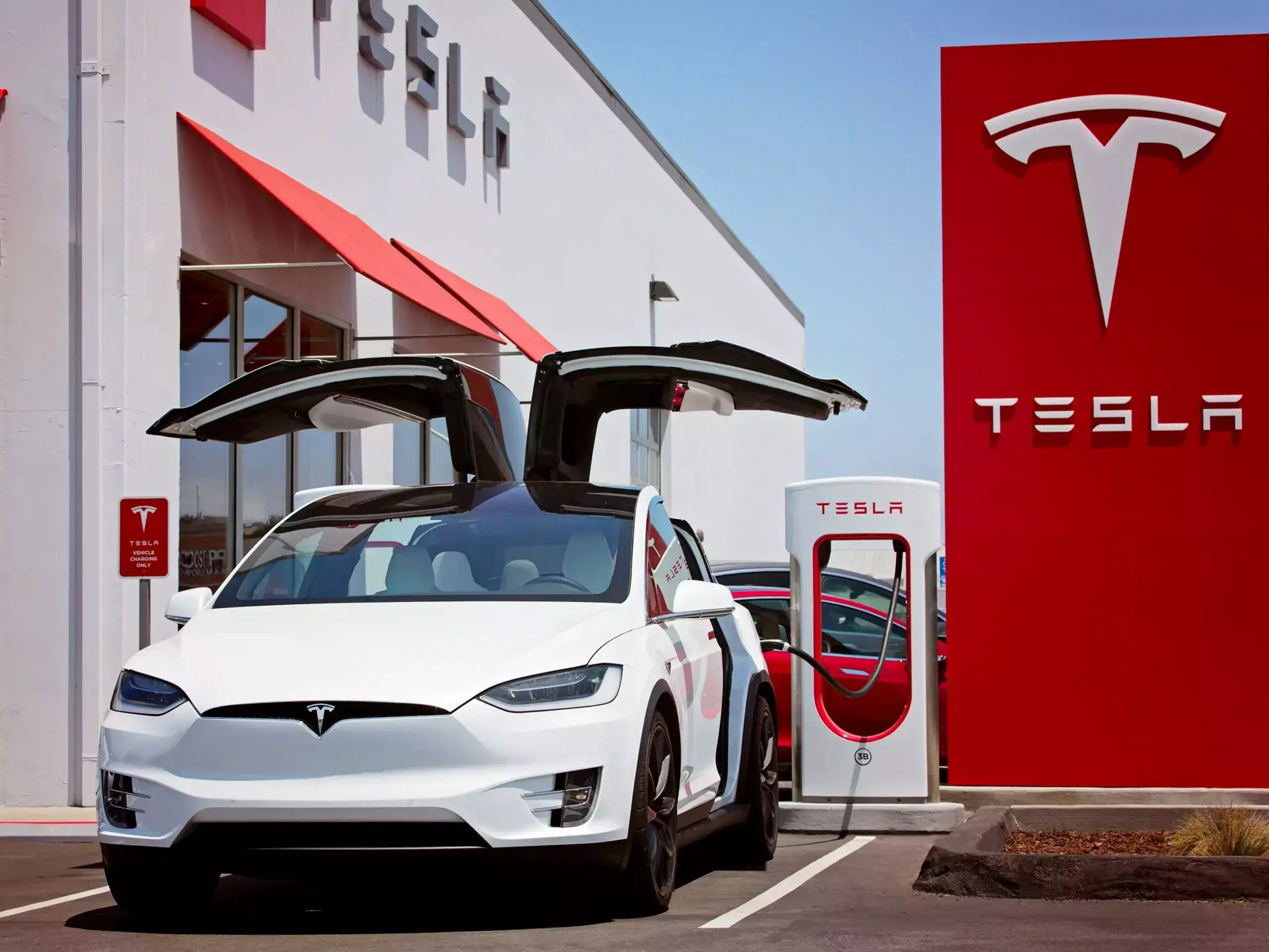india asks tesla to introduce investment plans for evs