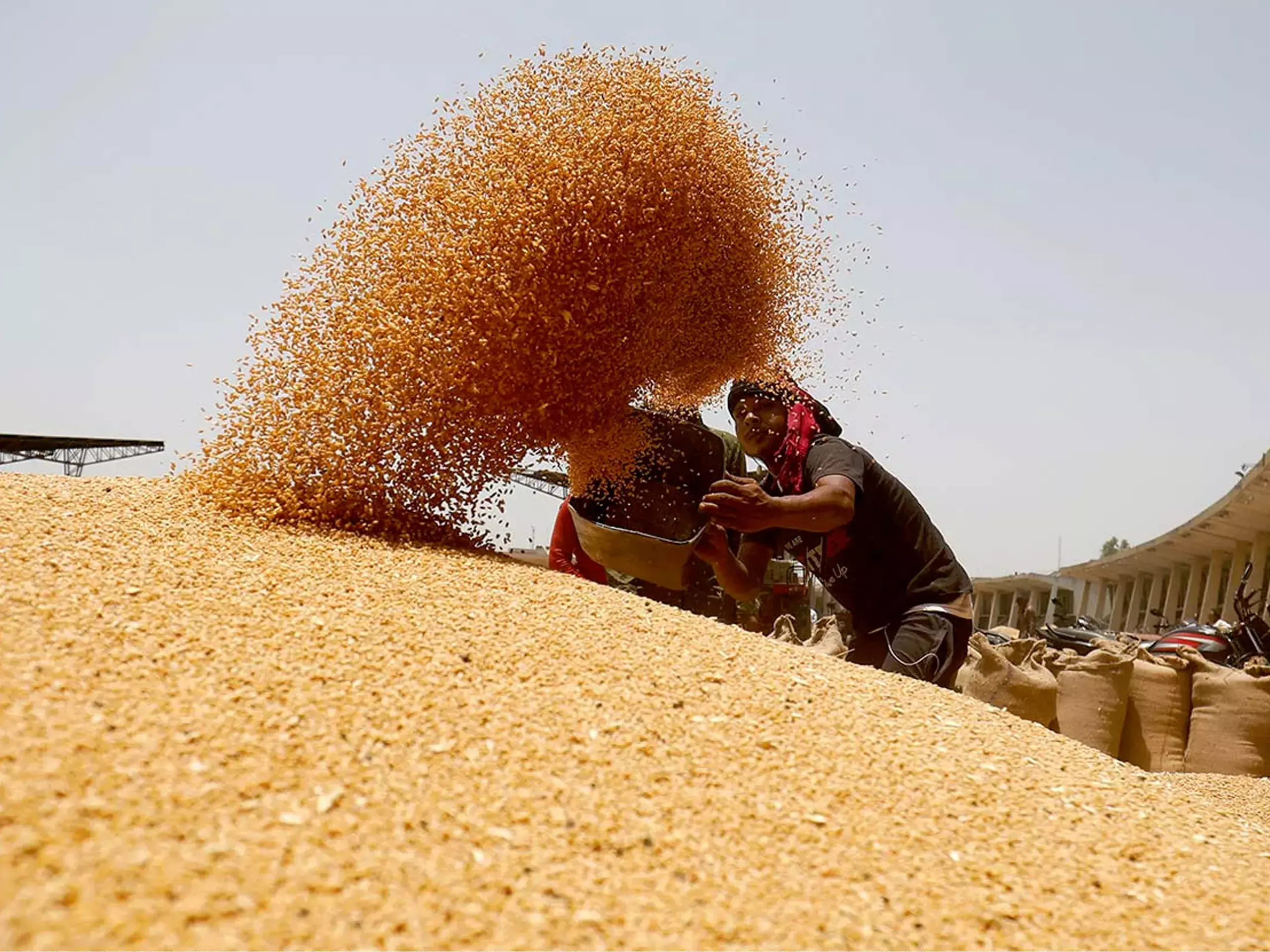 central govt aims to increase wheat storage by 7 times