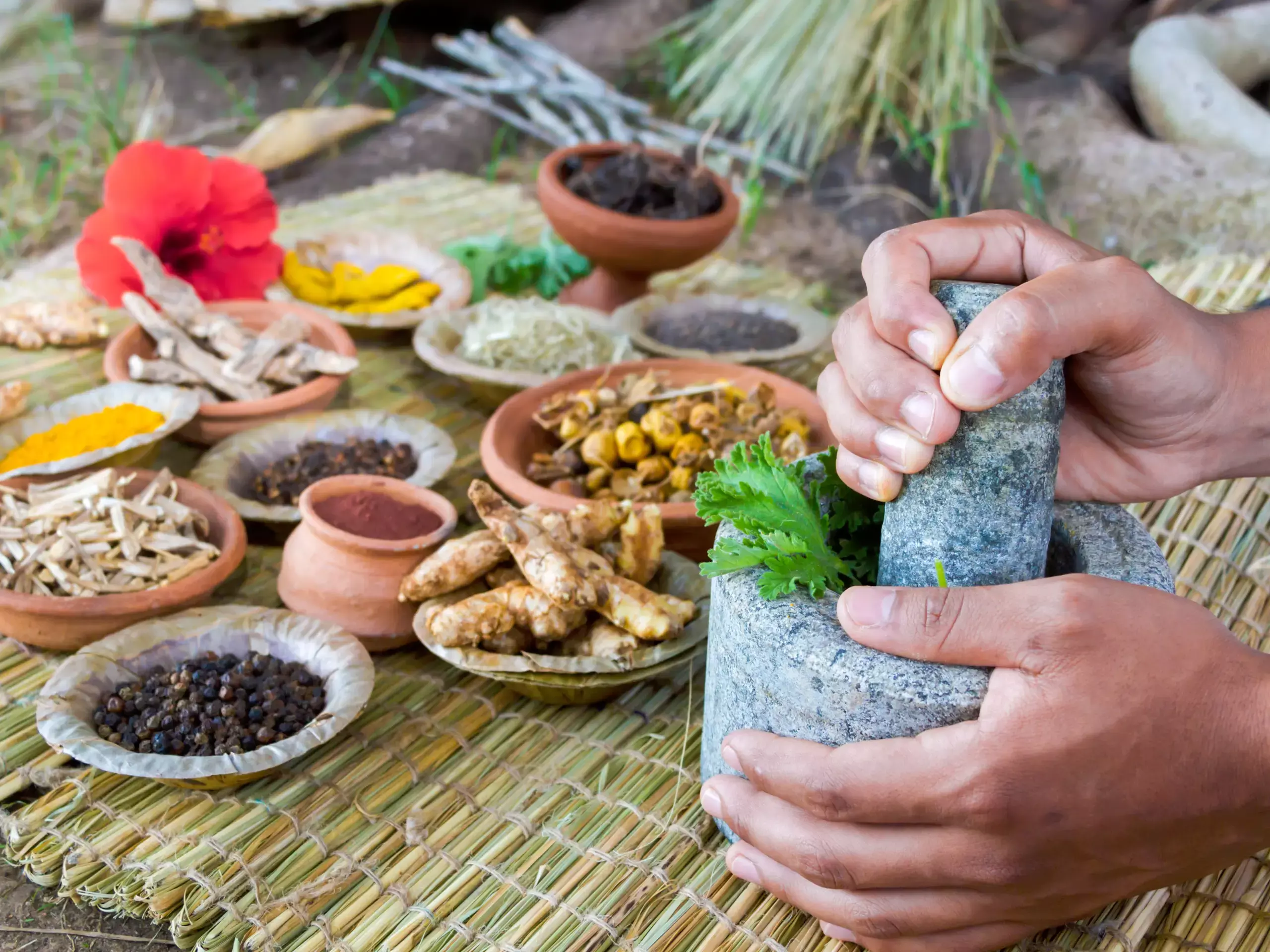 ഇന്ത്യയുടെ ആയുർവേദ വിപണി 1.2 ലക്ഷം കോടി രൂപയിലെത്തുമെന്ന് പഠനം