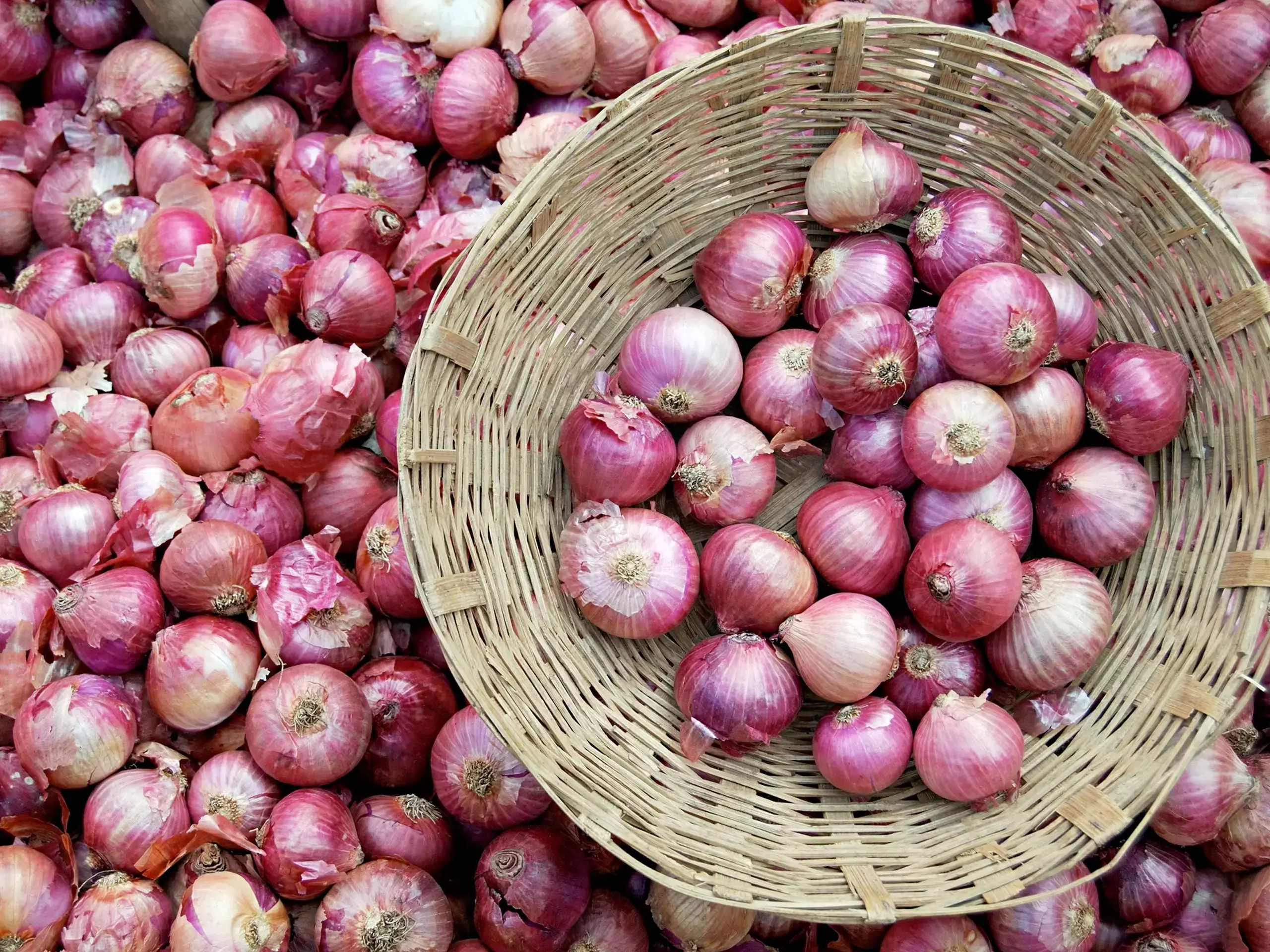Onion prices will drop in UAE