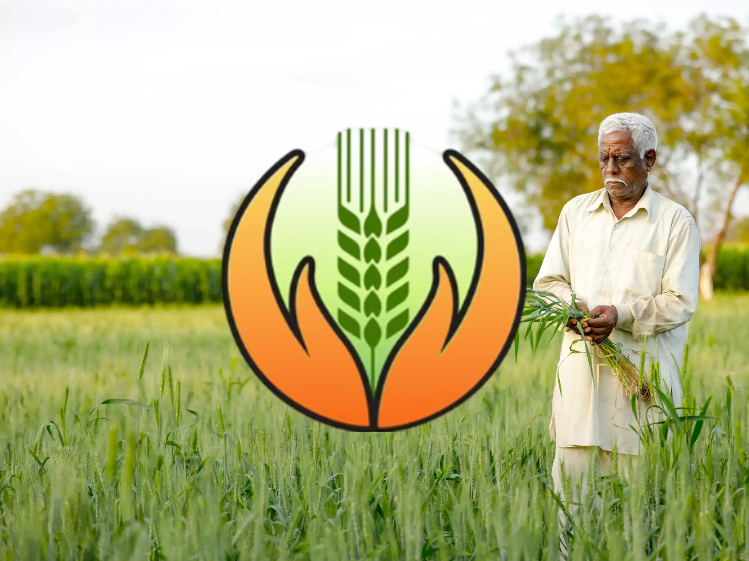 400 ലക്ഷം കർഷകർ അംഗങ്ങളായി, വിള ഇൻഷുറൻസ് പദ്ധതി വൻ വിജയം