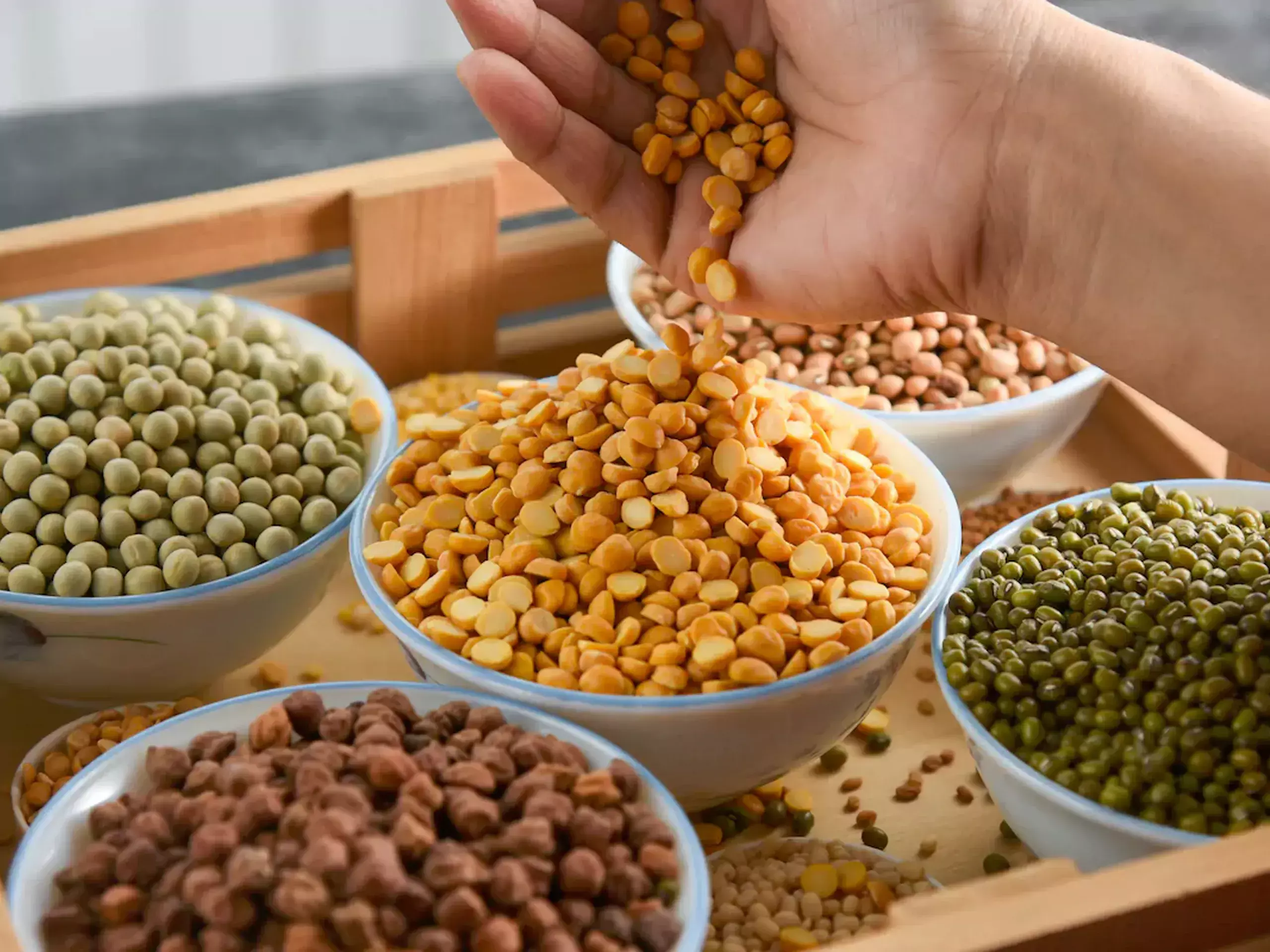 indian pulses imports to double in 2023-24 indian pulses imports to double in 2023-24
