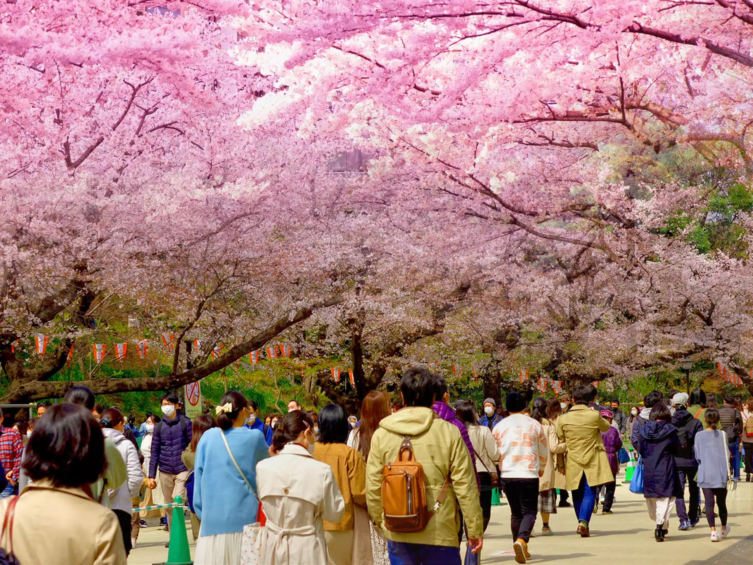 ജപ്പാനിലേക്ക് ടൂറിസ്റ്റുകളുടെ  റെക്കോര്‍ഡ് ഒഴുക്ക്