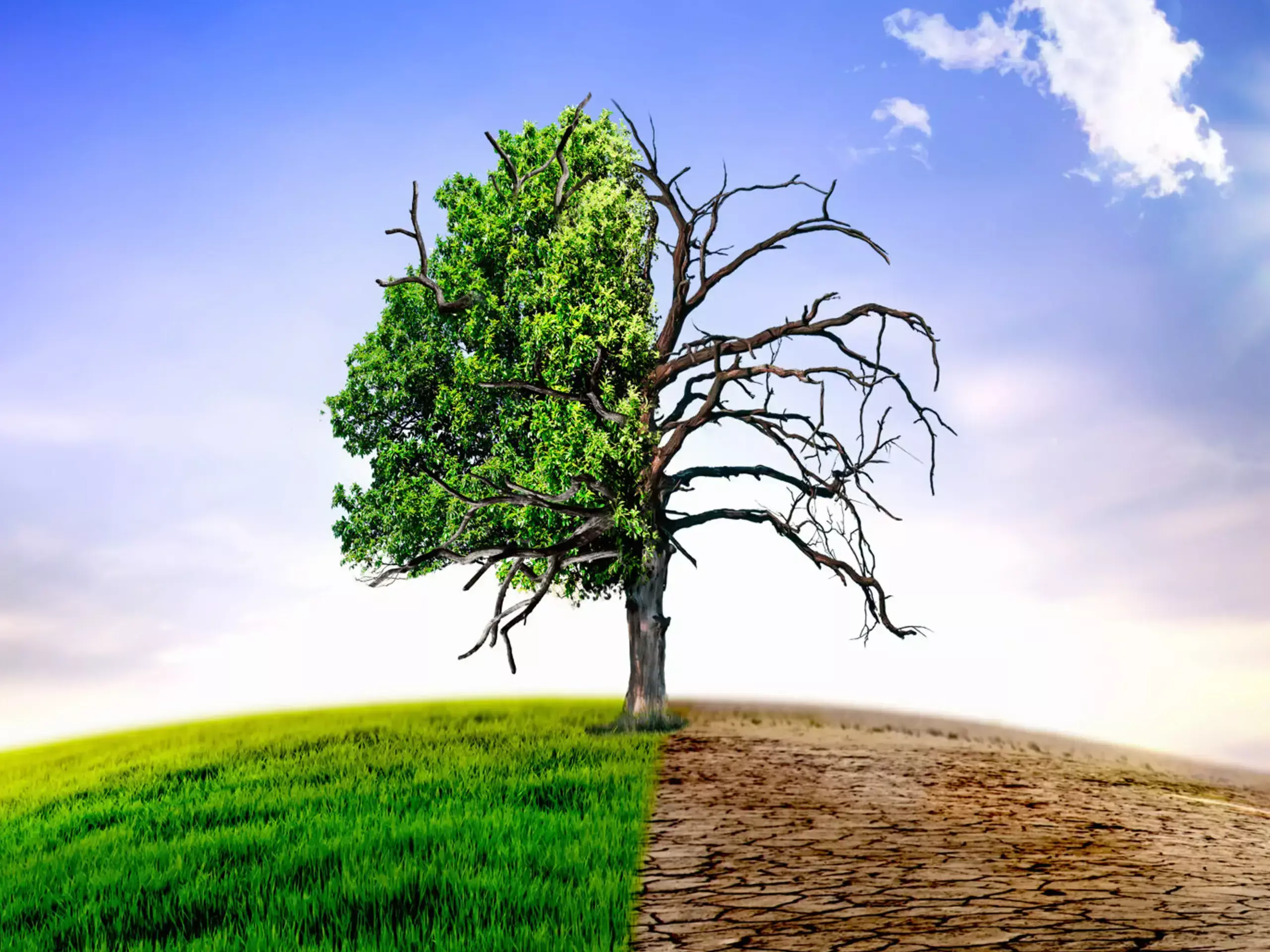 കാലാവസ്ഥാ വ്യതിയാനം : ആഗോള വരുമാനത്തിൽ വൻ നഷ്ടമുണ്ടാക്കുമെന്ന് പഠനം