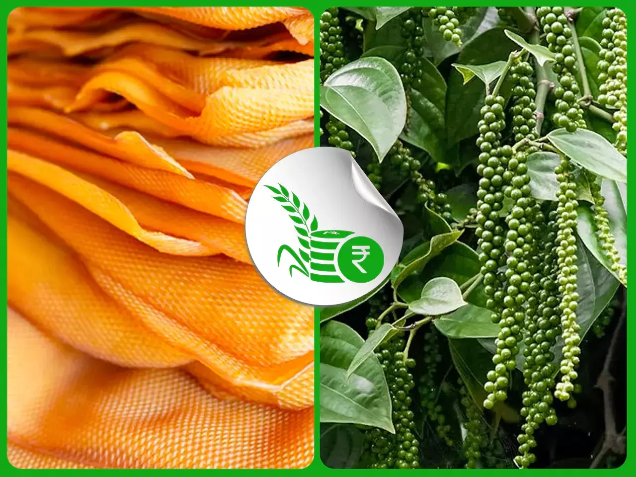 commodities market rate 23 04 2024