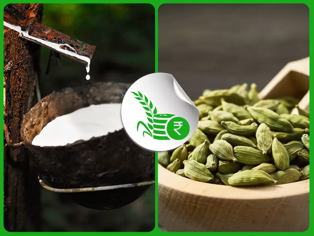 റബര്‍വില ഉയര്‍ന്നു; ഏലം   കൂടുതല്‍ ആകര്‍ഷകമാകും