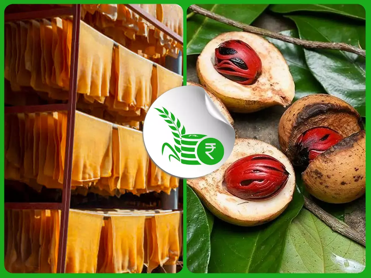 ജാതിക്ക ഡിമാന്റില്‍; പ്രതിവാര നേട്ടത്തില്‍ റബര്‍