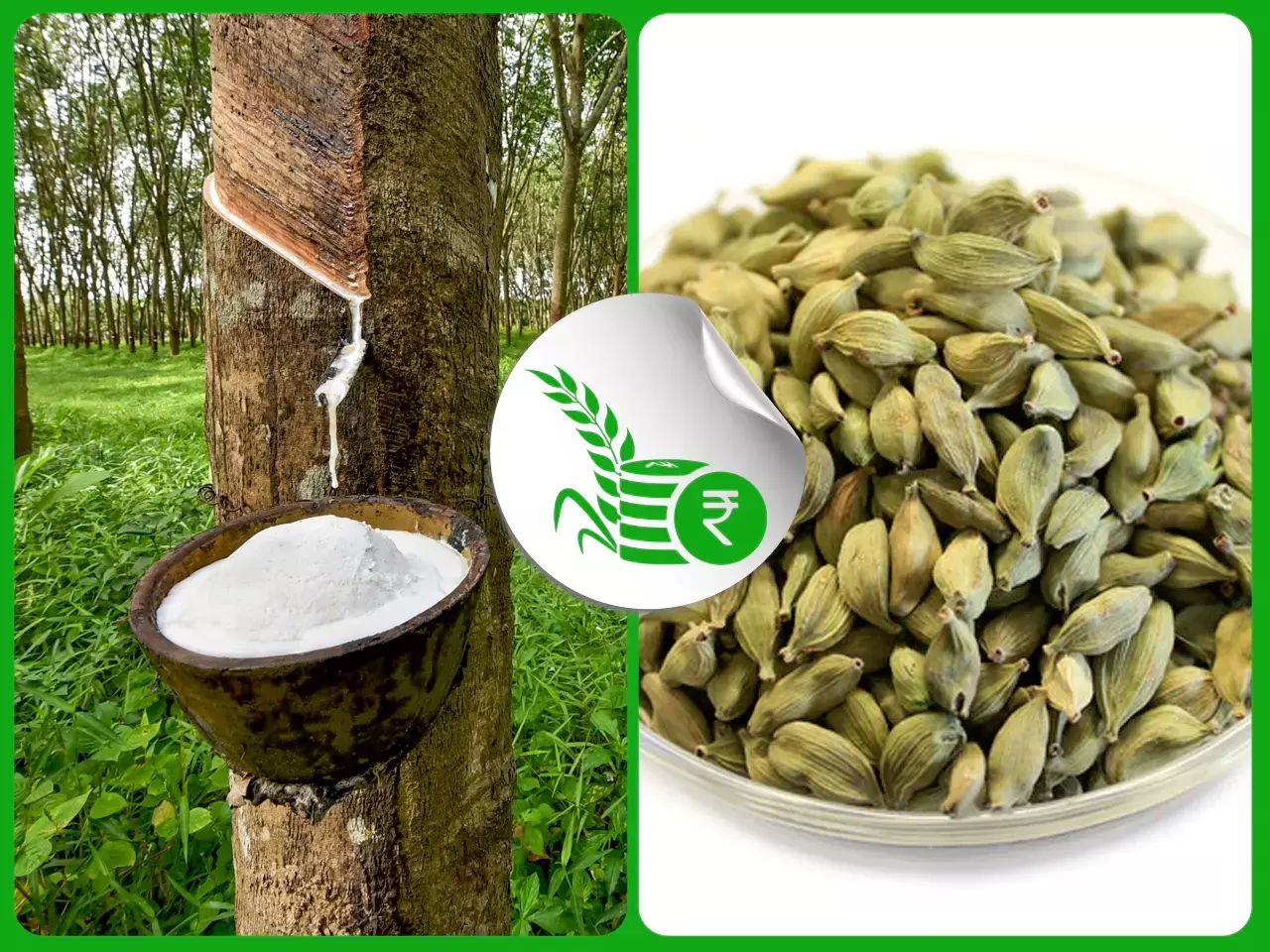 വിലകയറാതെ ഏലം; കുലുക്കമില്ലാതെ റബര്‍