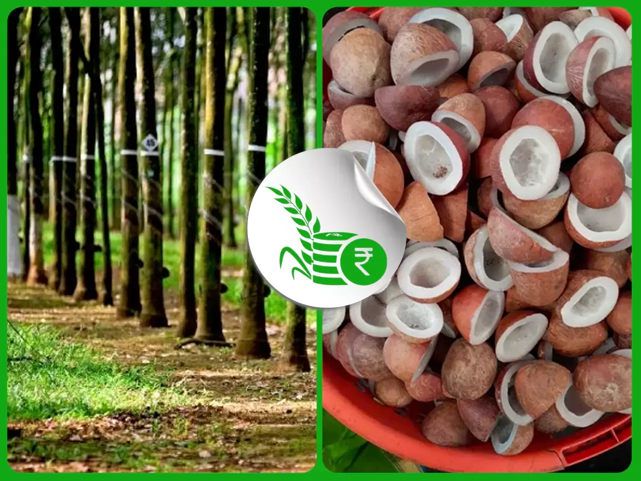 പ്രതീക്ഷയോടെ റബര്‍ കര്‍ഷകര്‍;  നാളികേരോല്‍പ്പന്നങ്ങള്‍ക്ക് തളര്‍ച്ച