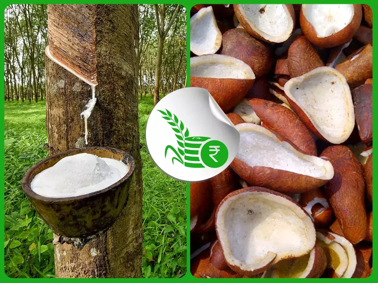 മഴ പിടിയില്‍ കേരളം; മുഖം മാറി കാര്‍ഷിക കേരളം