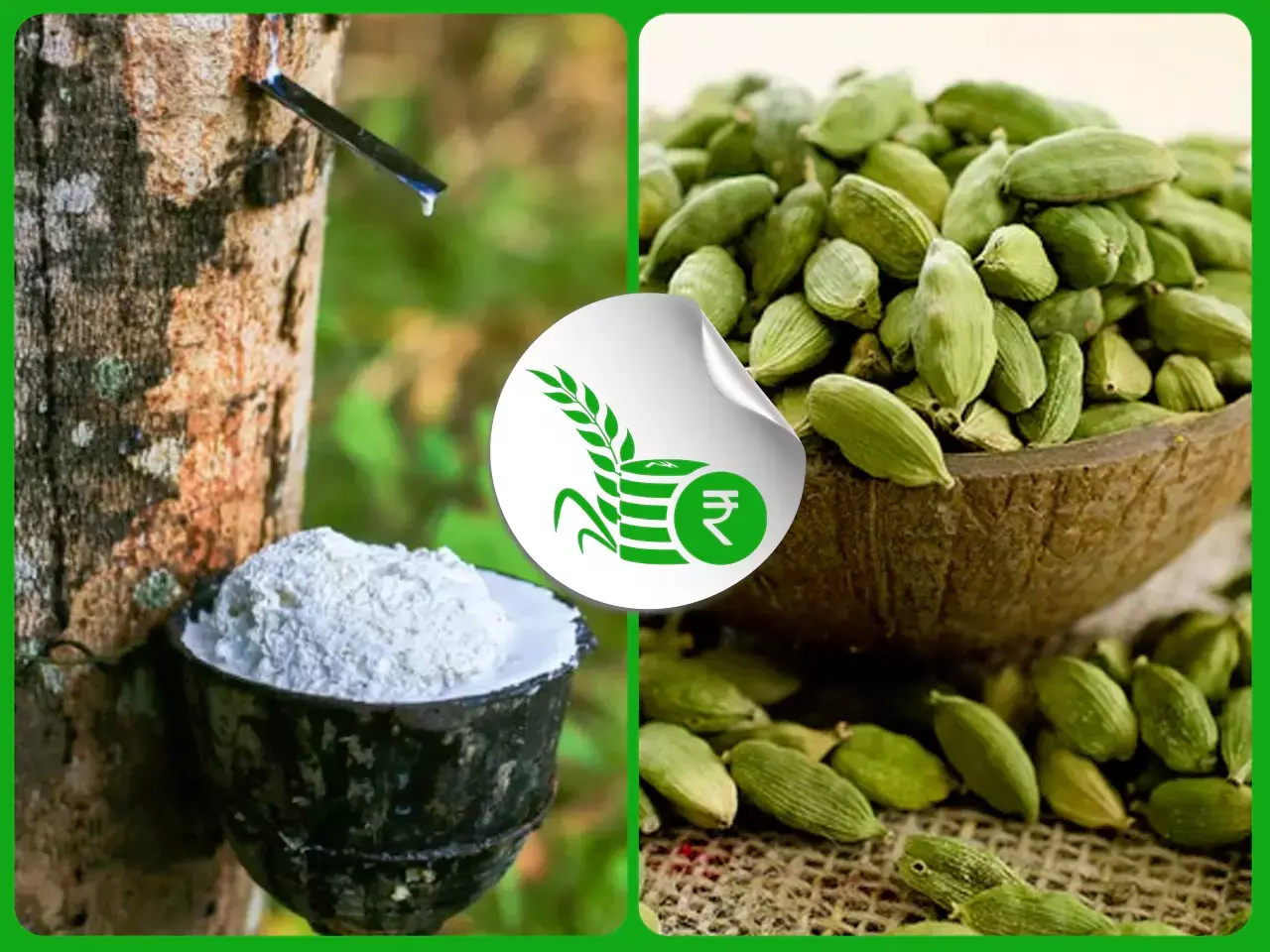 റബര്‍ മുന്നേറ്റത്തില്‍; ഏലം സീസണ്‍ വൈകും