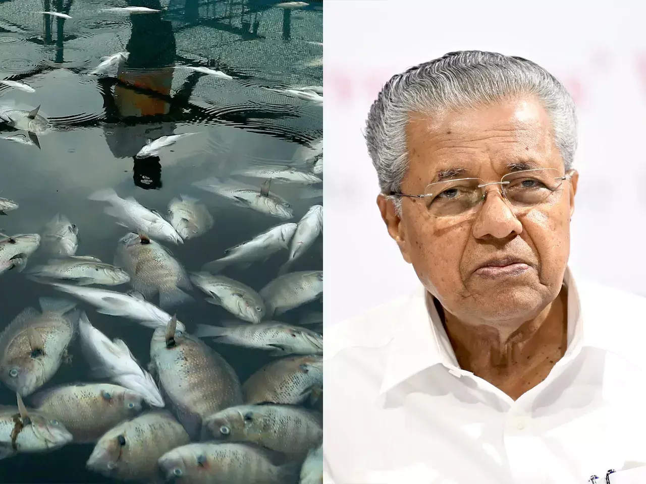 chief Minister said that no chemical contamination was found in periyar