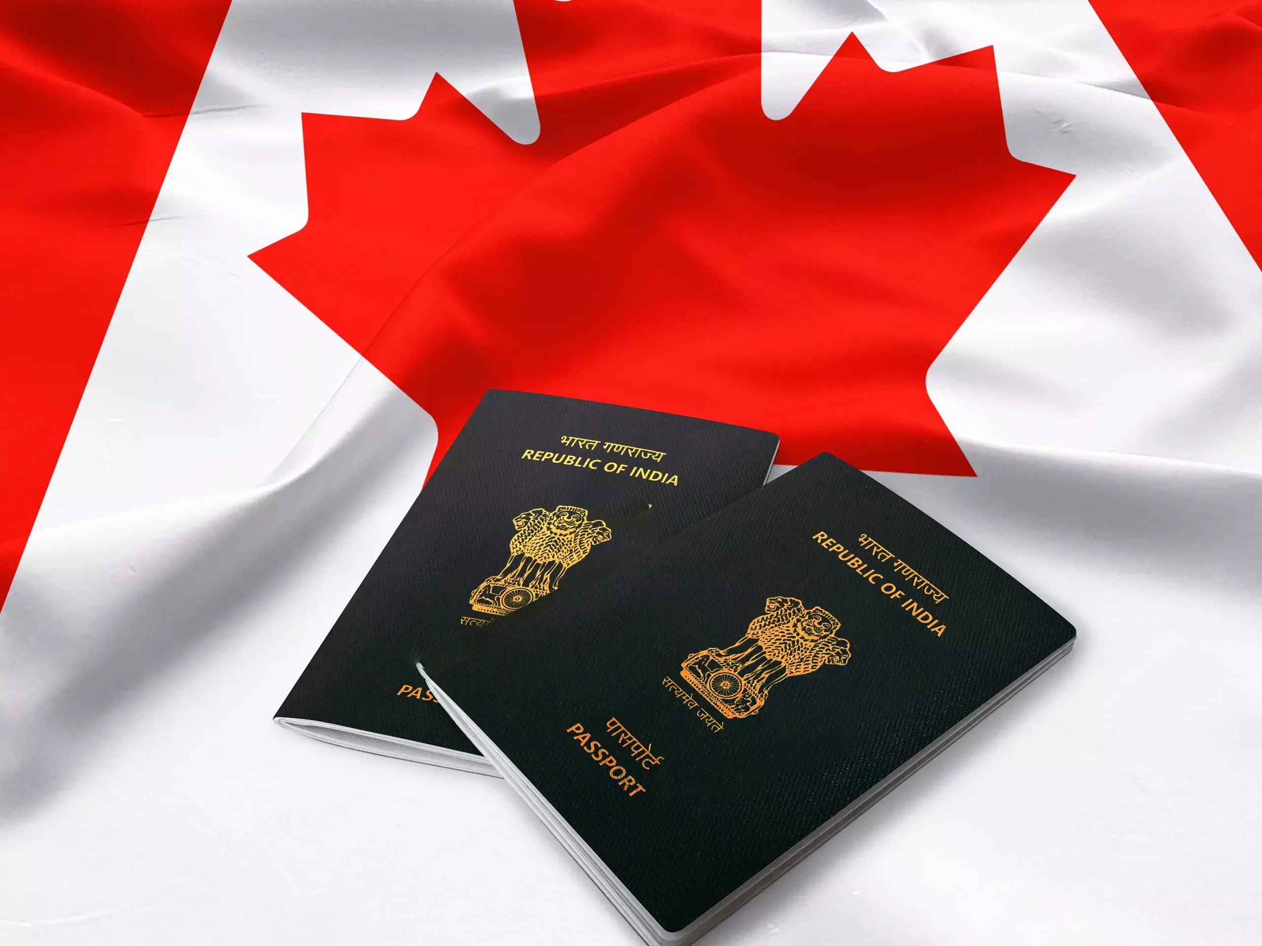 കാനഡയില്‍ ഇന്ത്യന്‍ വിദ്യാര്‍ത്ഥികള്‍   സമരം പുനരാരംഭിച്ചു