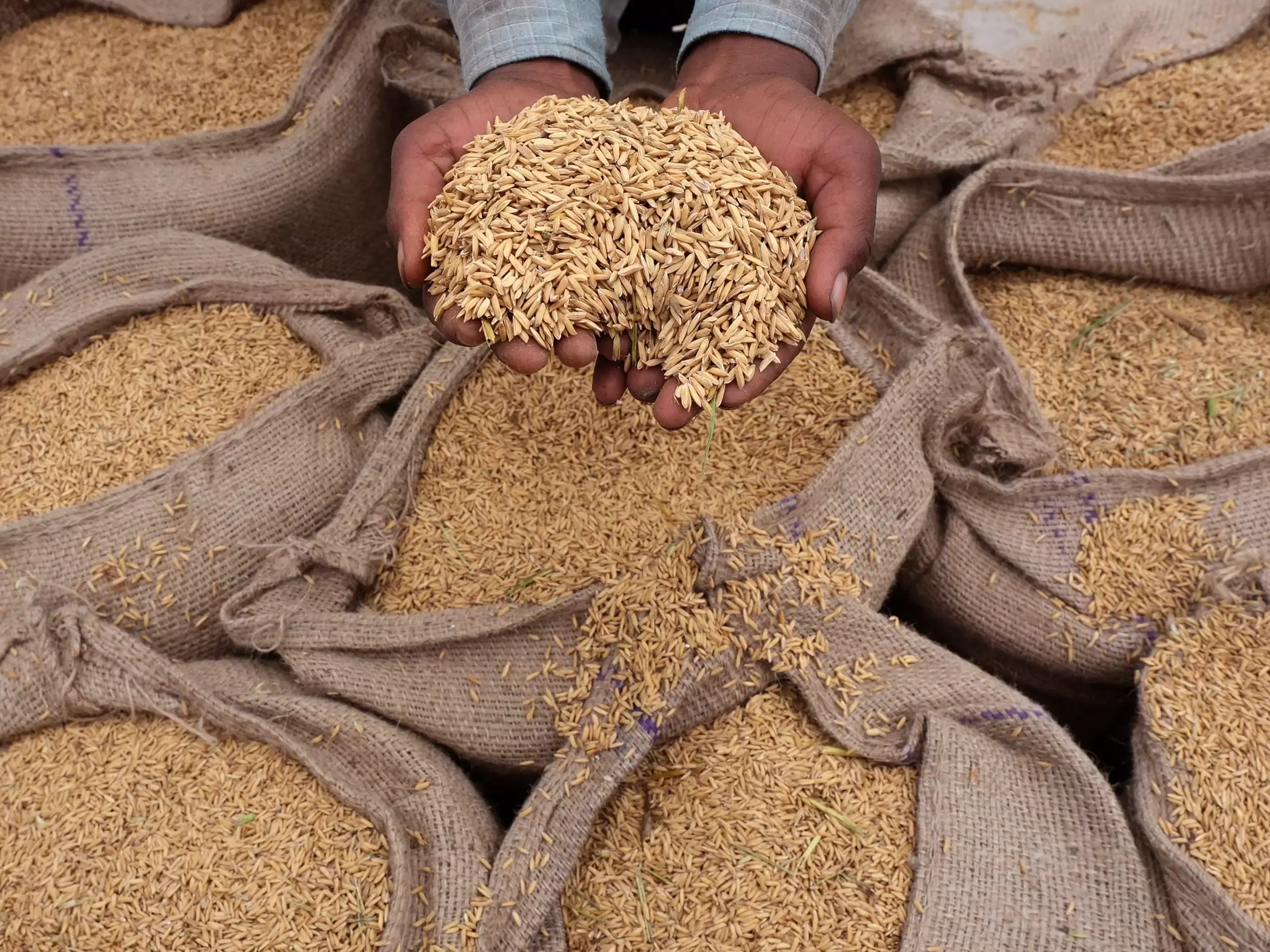 ആഫ്രിക്കന്‍ രാജ്യങ്ങളിലേക്ക് ബസ്മതി   ഇതര വെള്ള അരി കയറ്റുമതി