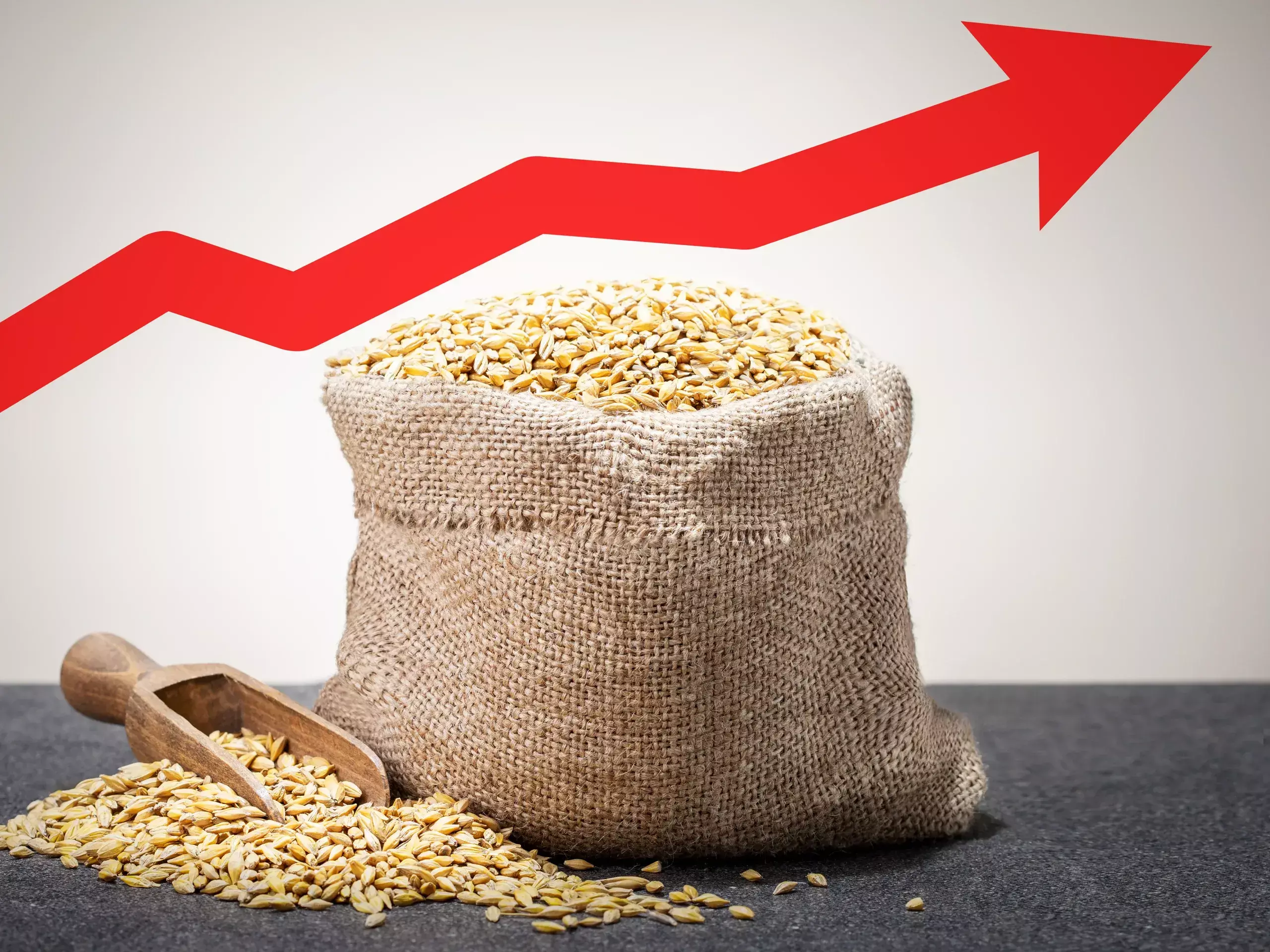 price of wheat in the market is gradually increasing