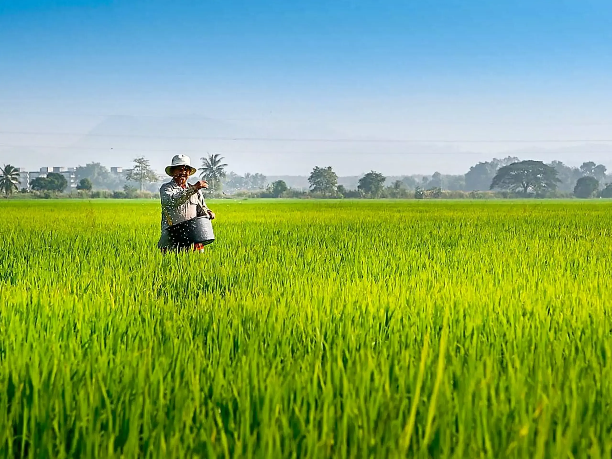 80 percent to small farmers Crop failure in adverse weather conditions