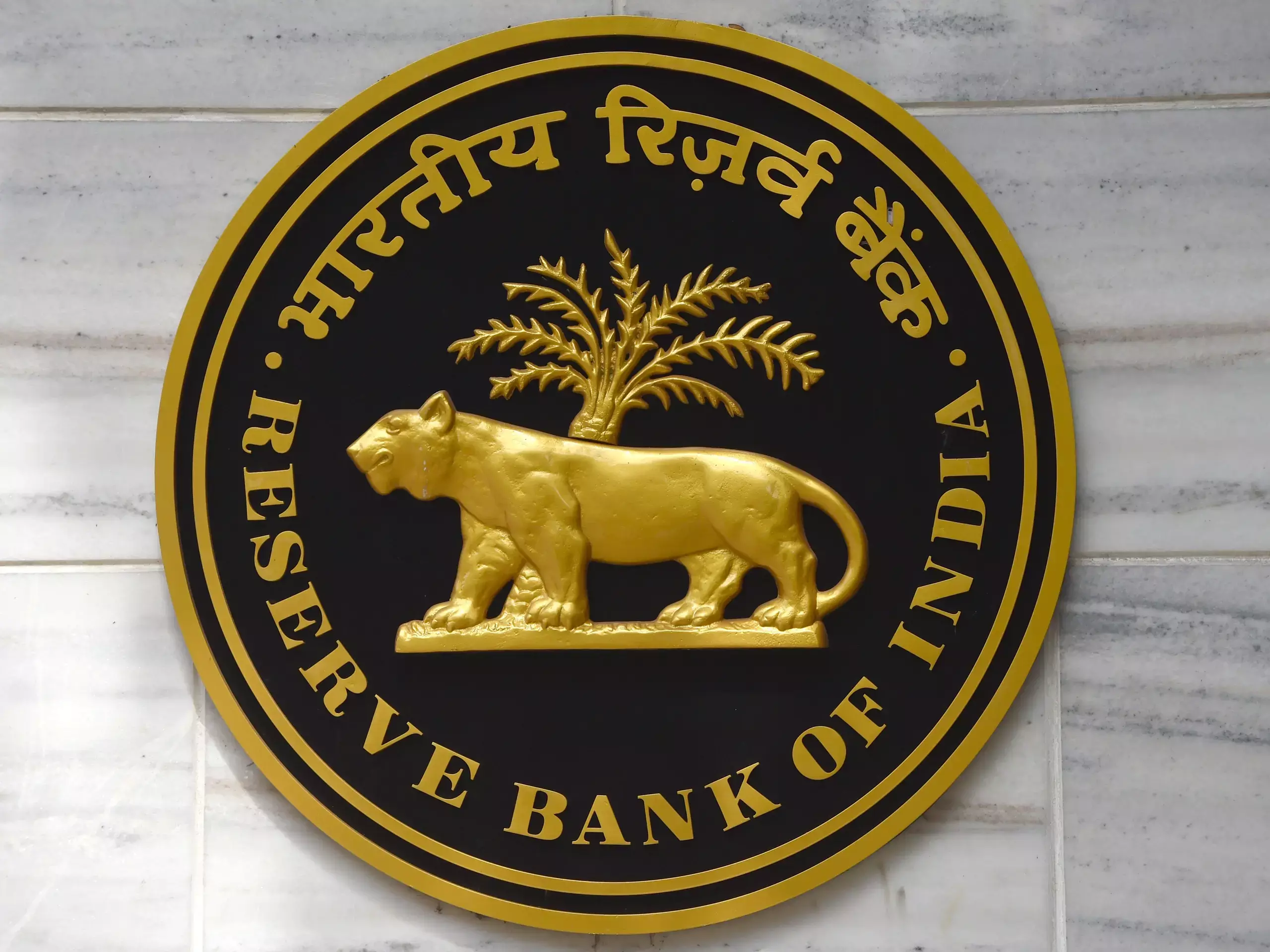 RBI warns that rapid growth in private credit is dangerous