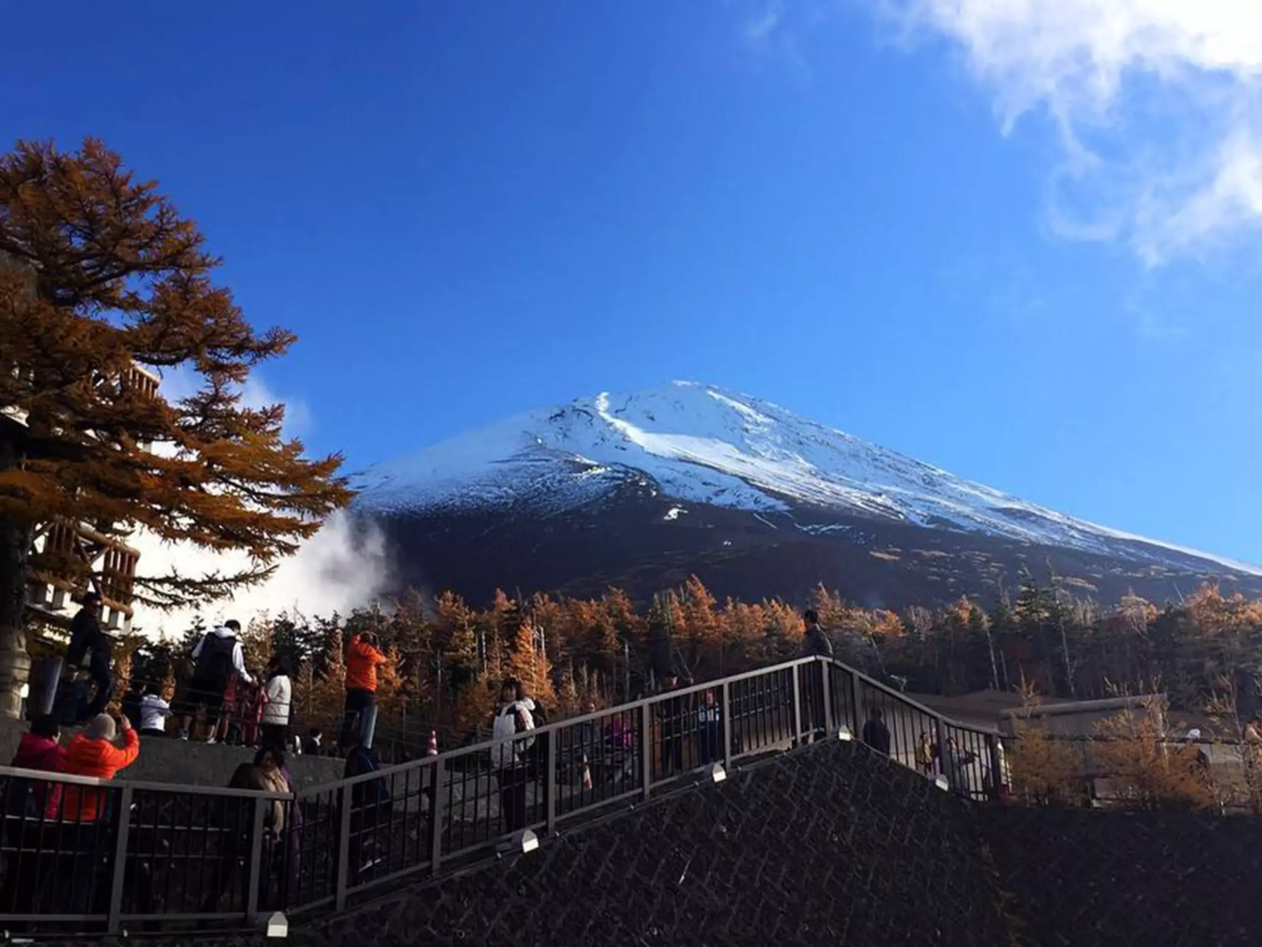 കുറഞ്ഞ ചെലവില്‍ വിദേശ സന്ദര്‍ശനം;  സഞ്ചാരികള്‍ കൂട്ടത്തോടെ ജപ്പാനിലേക്ക്