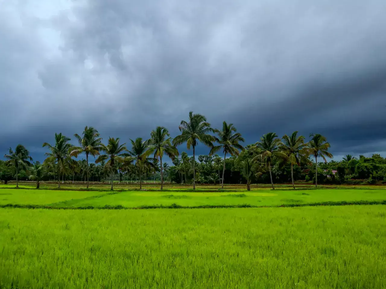 rain, the next three months are estimated to be crucial