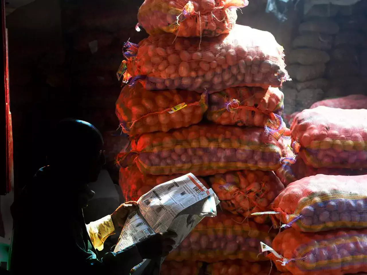 assembly elections are coming and onion prices are on the rise again