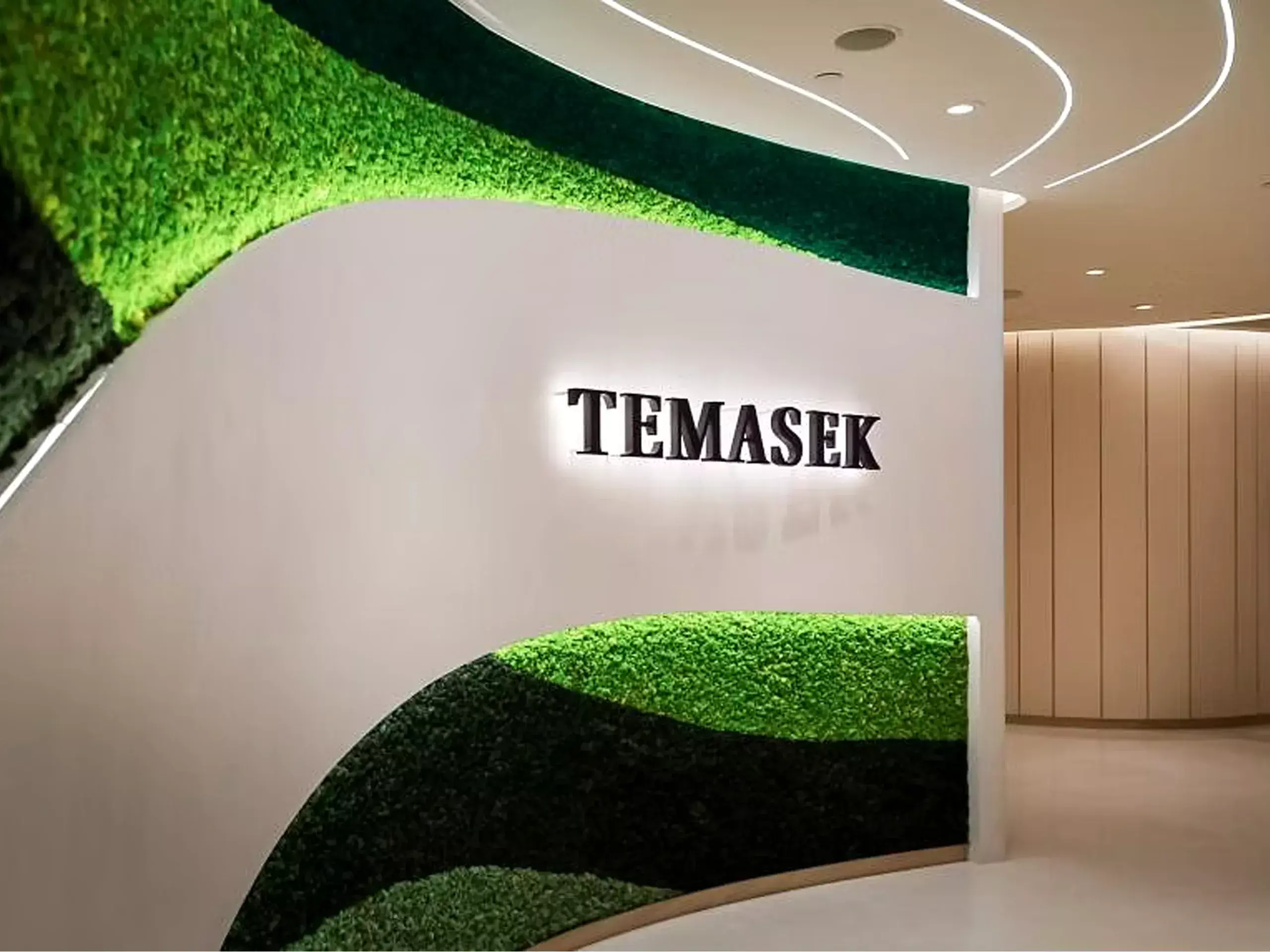 temasek expects indias growth to remain firm and private consumption to recover