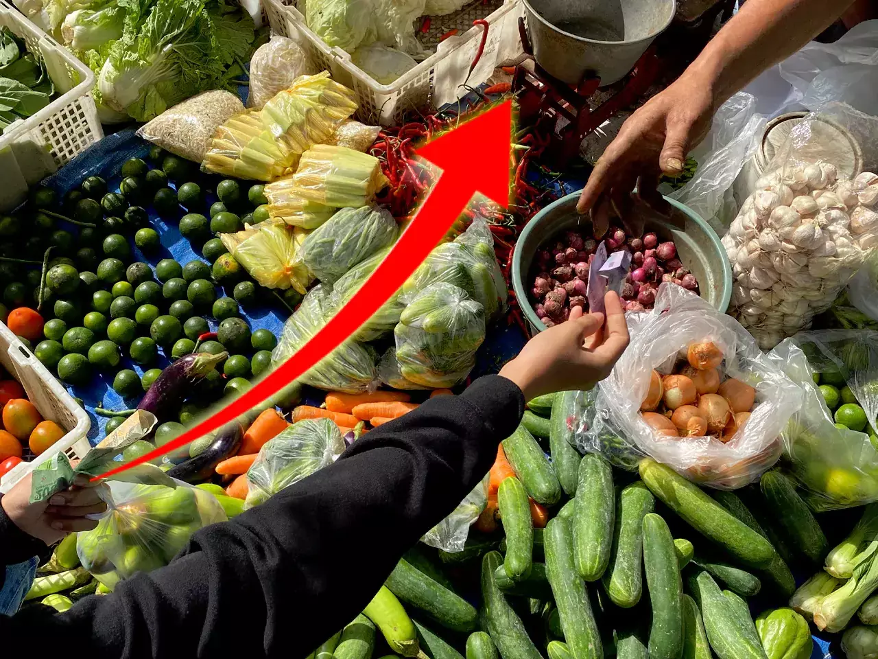 rise in vegetable prices is the cause of inflation