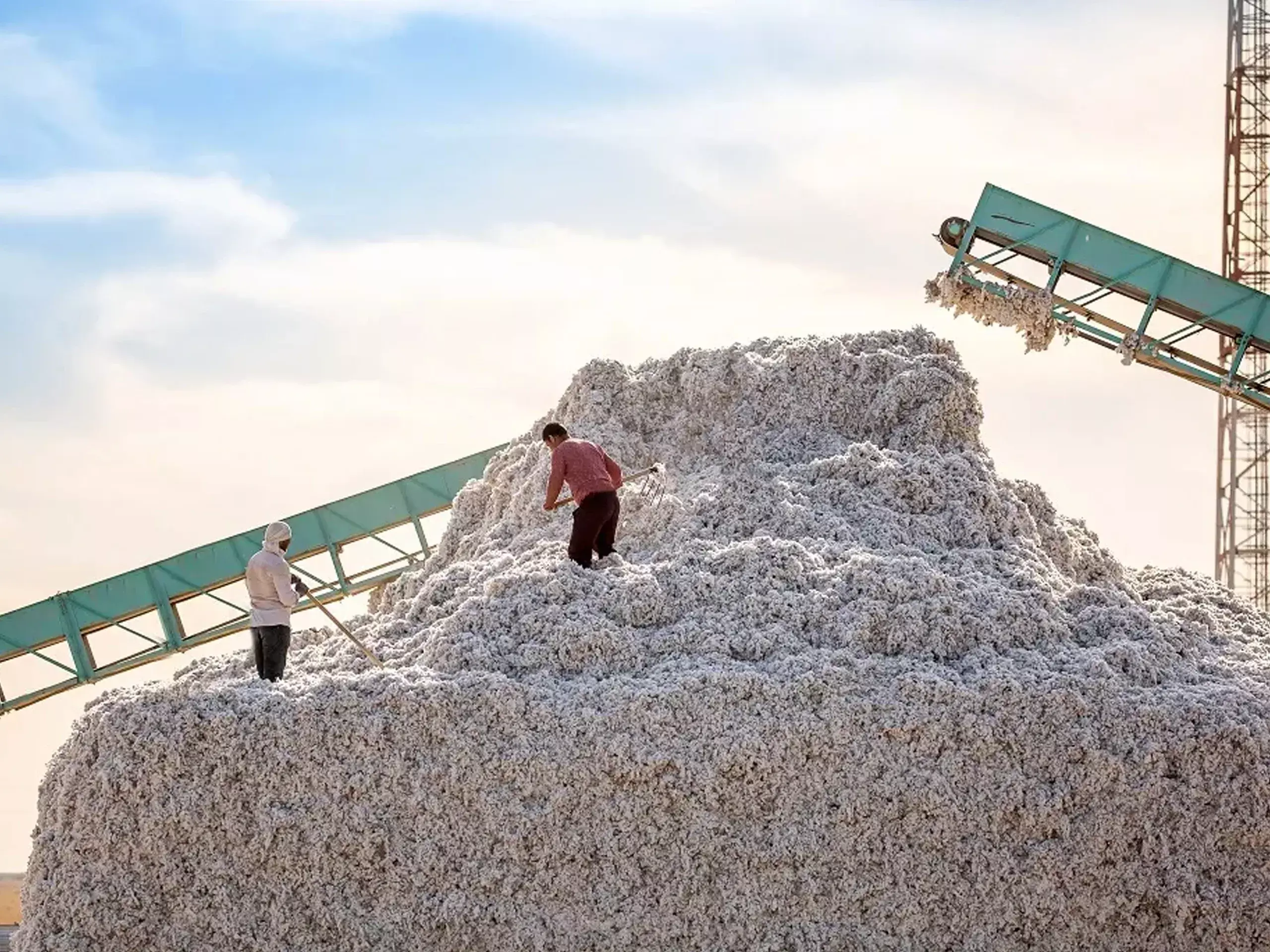 increase in cotton exports in the country