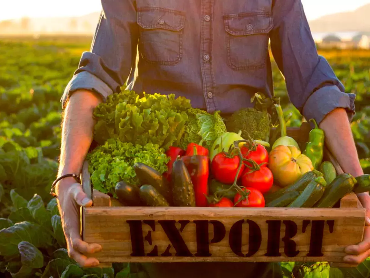 center with efforts to increase agricultural exports
