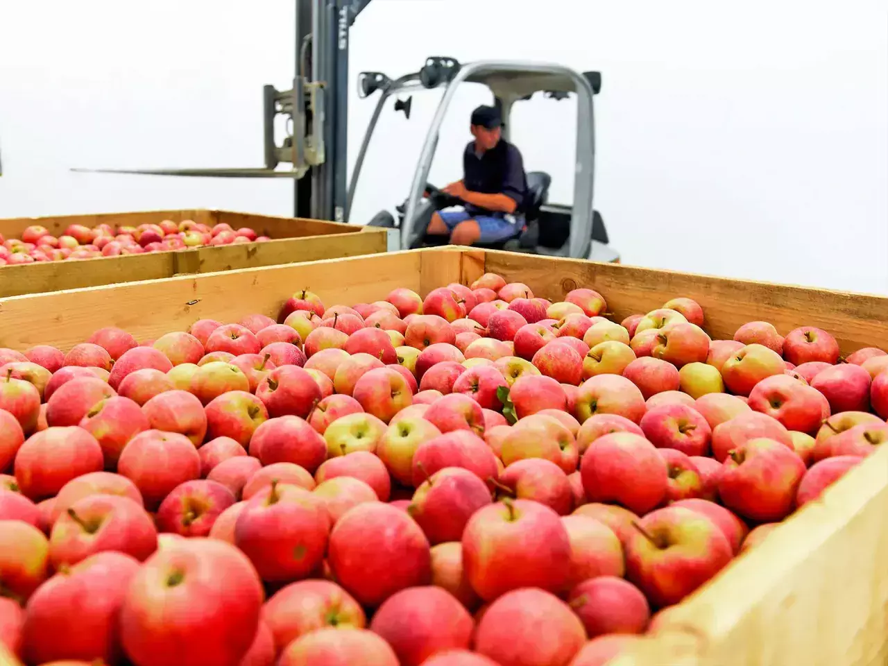 apple should avoid corporatization of the industry