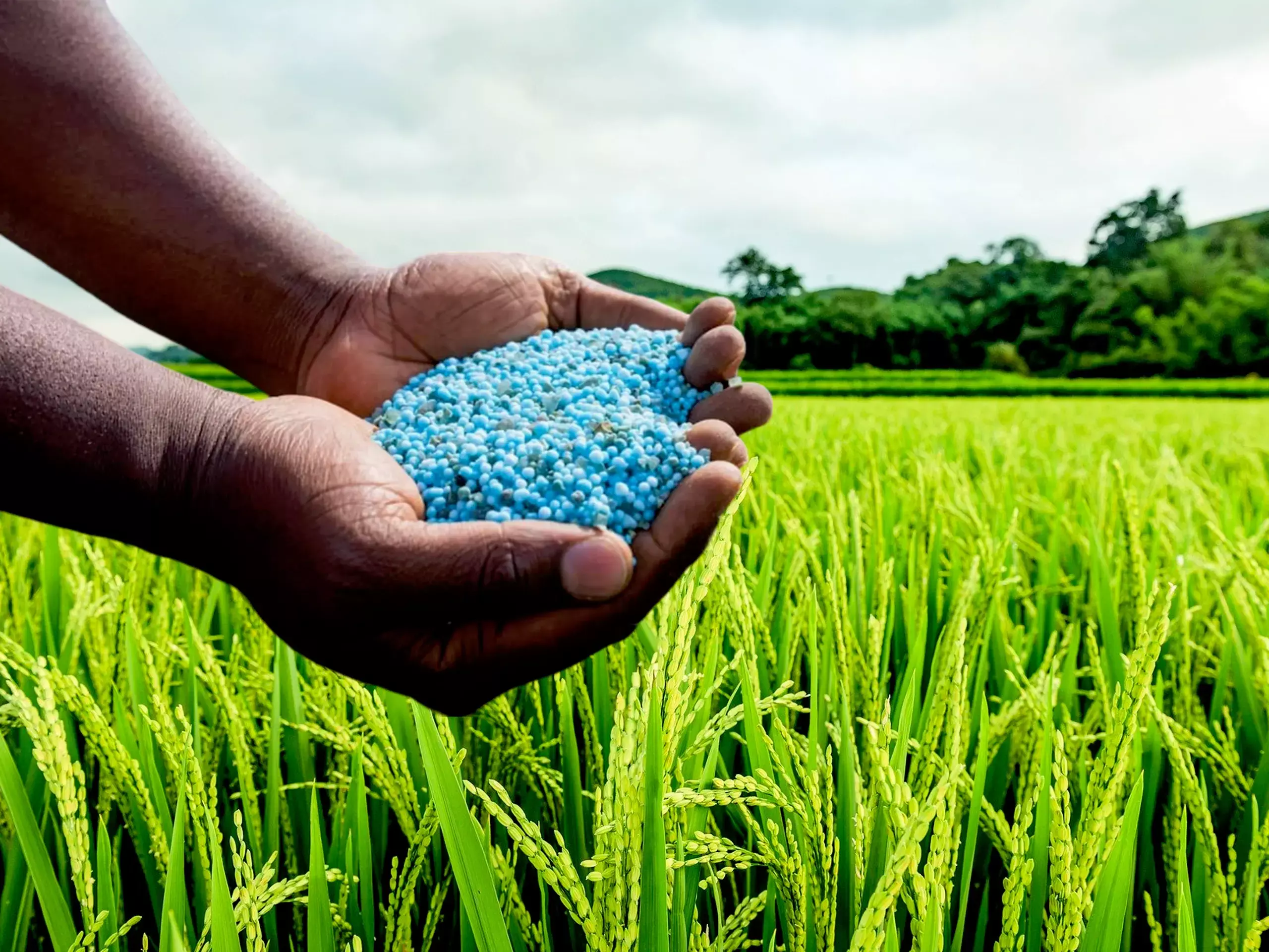 Hope in rural areas, fertilizer stocks ahead