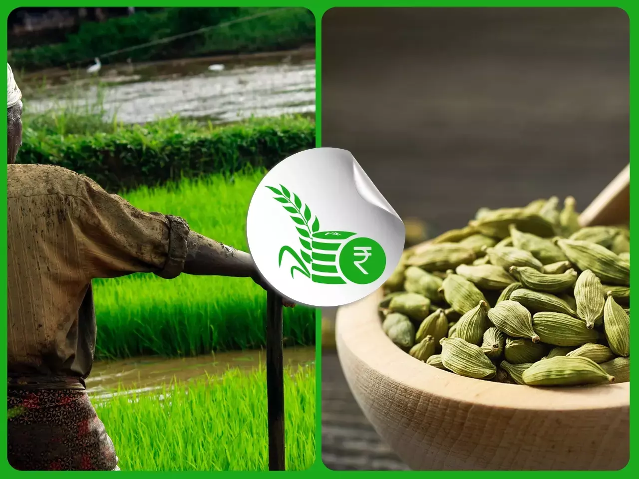 ബജറ്റ് അനുകൂല തരംഗത്തിന് കാത്ത് കാര്‍ഷിക മേഖല; ഏലത്തിന് ഡിമാന്റേറി