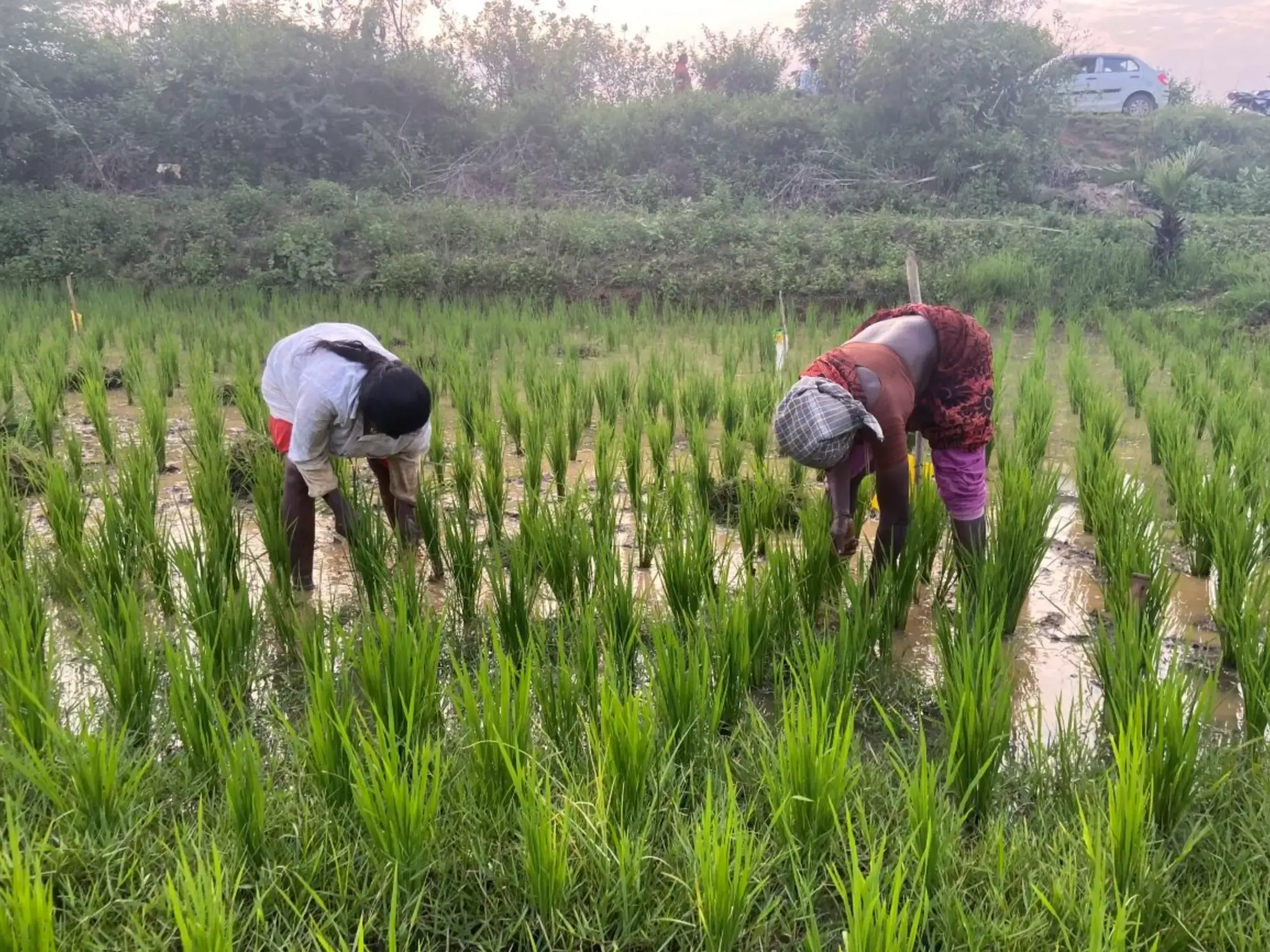 ആറ് കോടി കര്‍ഷകര്‍ക്ക് കൂടി അഗ്രി സ്റ്റാക്ക് നടപ്പാക്കാന്‍ സര്‍ക്കാര്‍